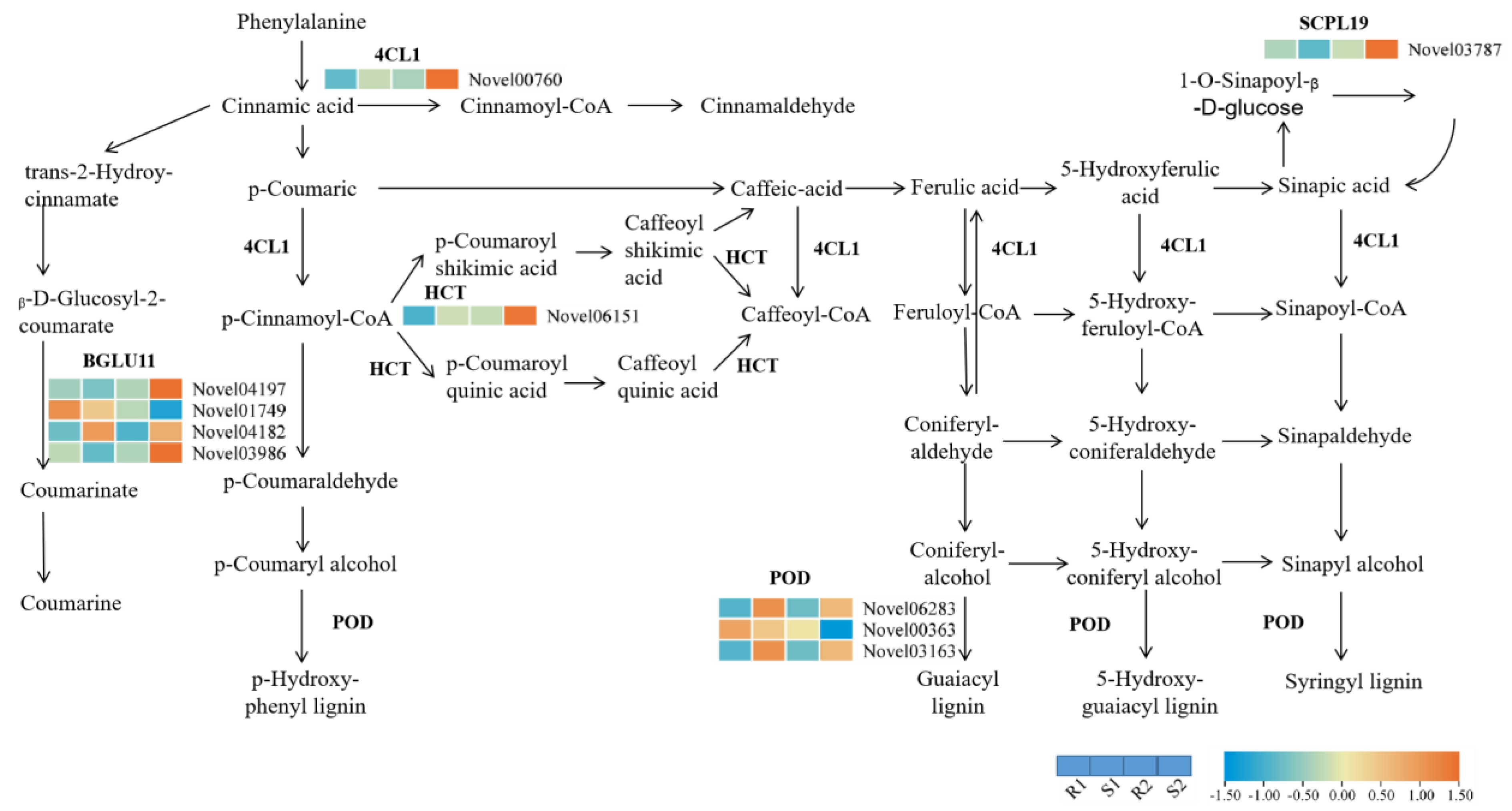 Agronomy 13 00644 g003 Agronomy 13 00644 g003