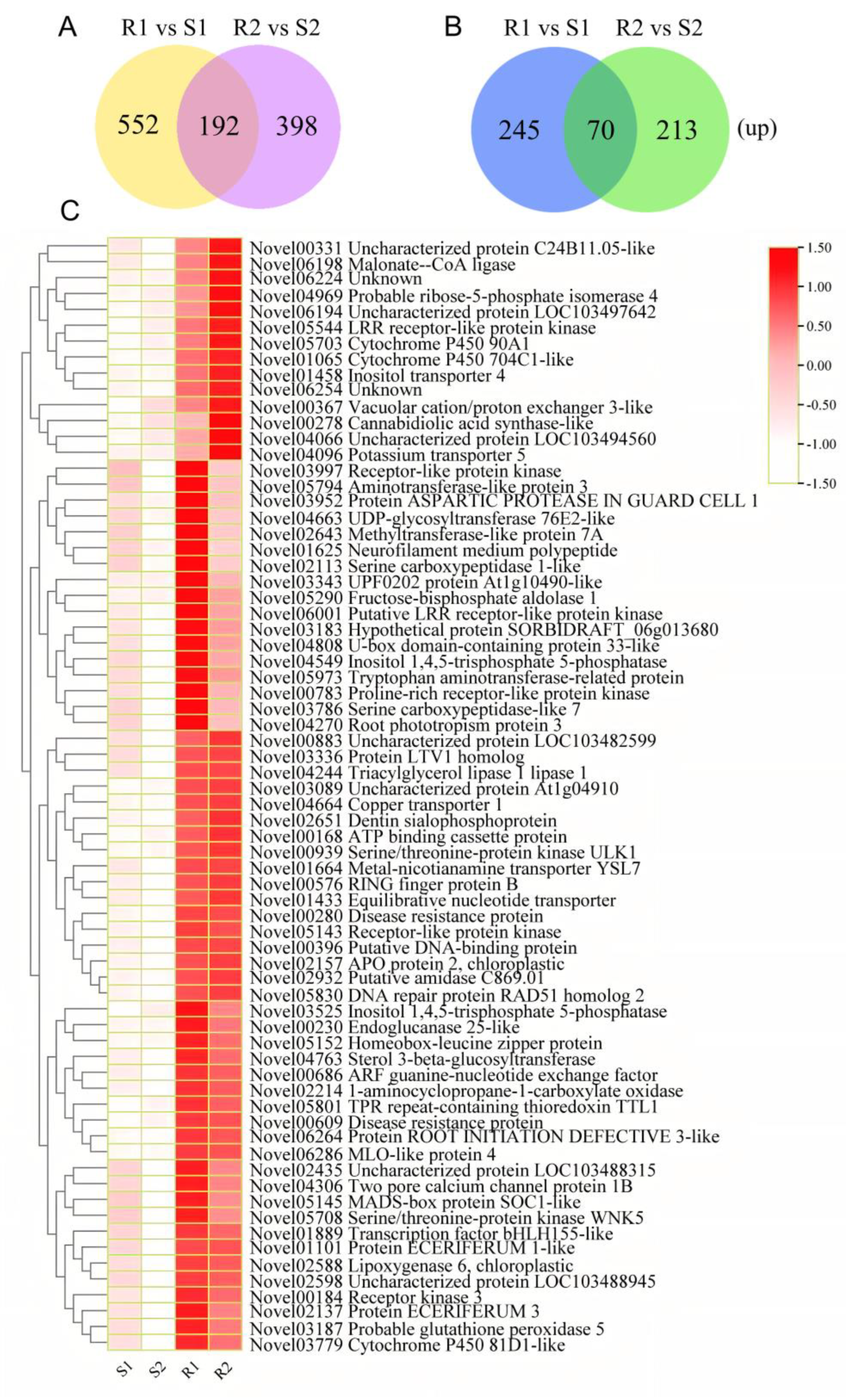 Agronomy 13 00644 g004 Agronomy 13 00644 g004
