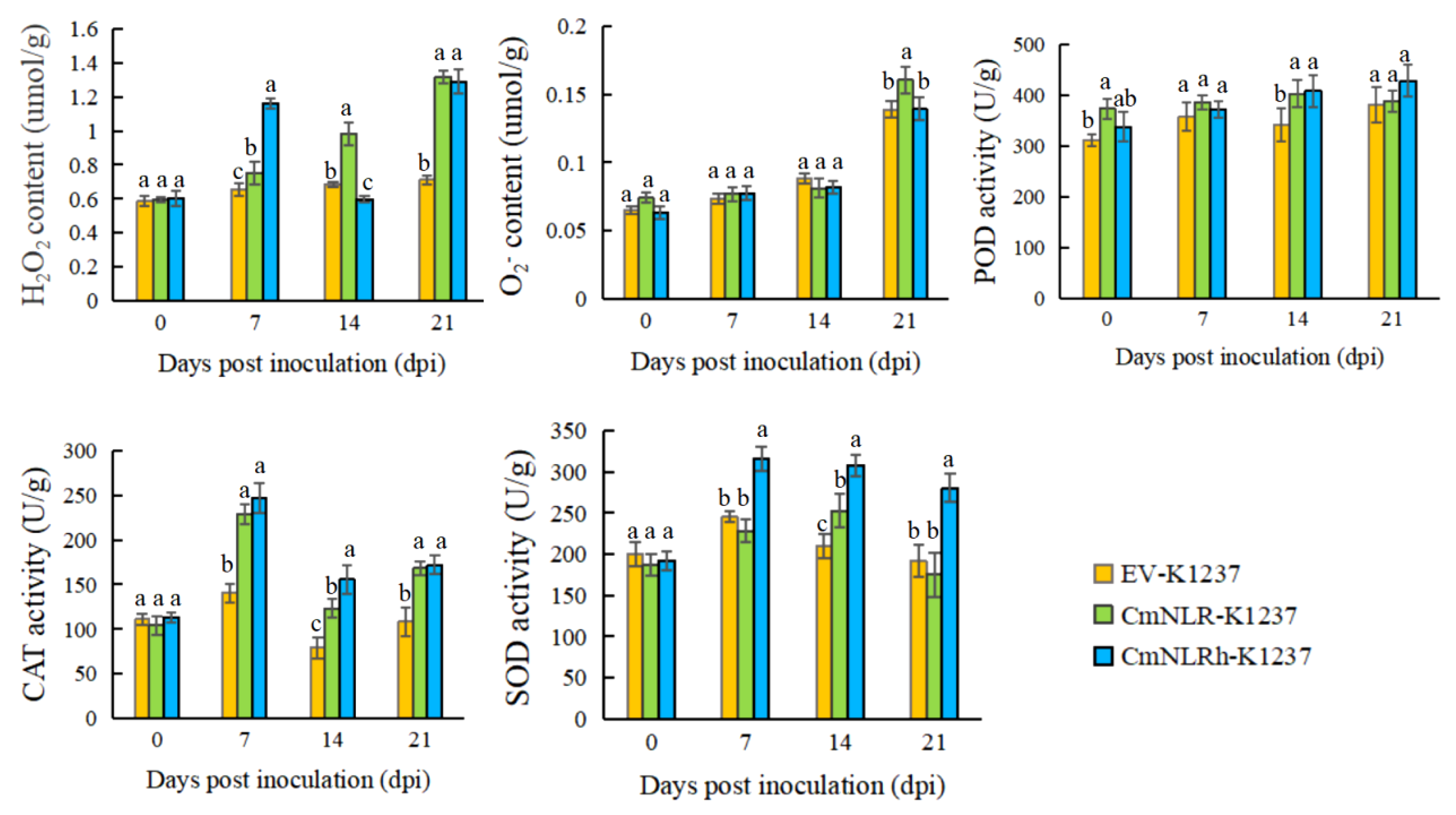 Agronomy 13 00644 g007 Agronomy 13 00644 g007