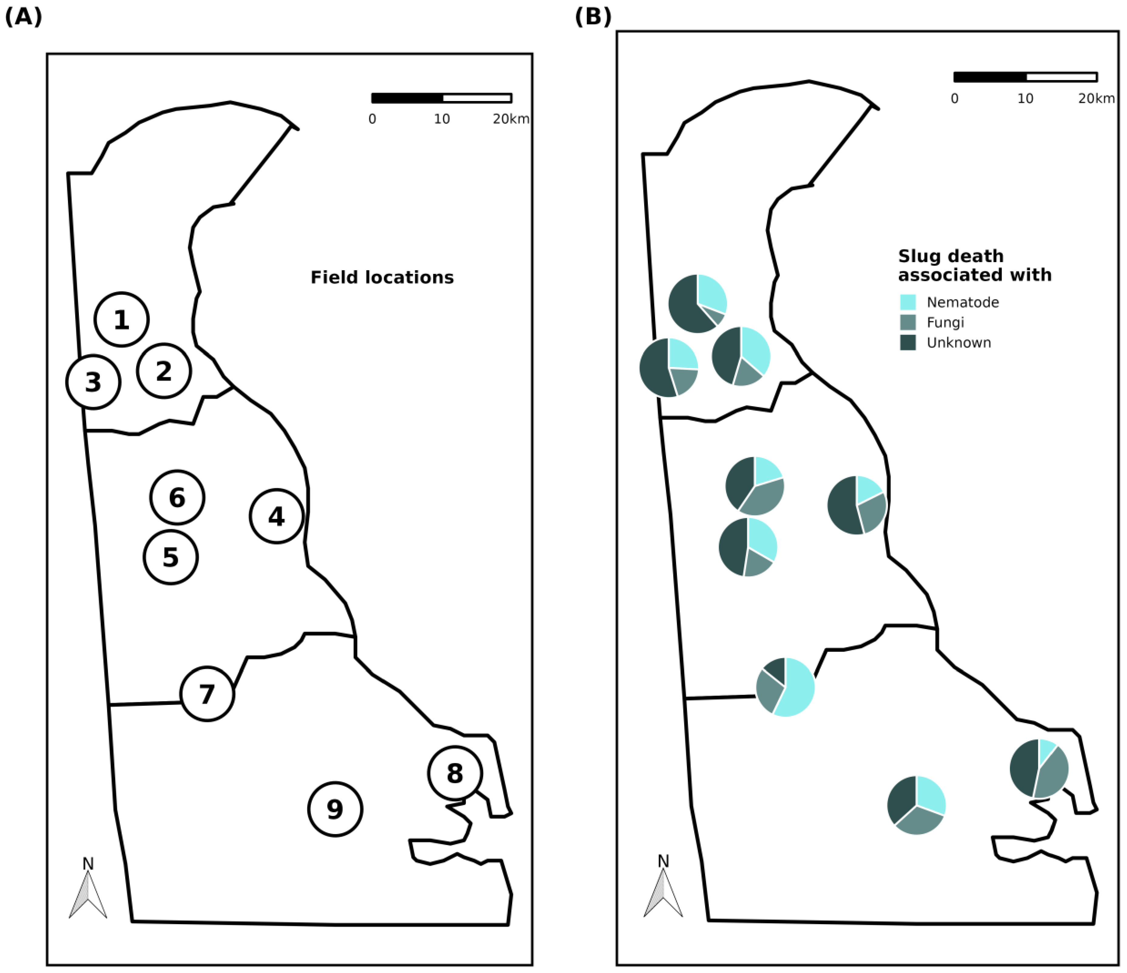 Agronomy 13 00645 g005 Agronomy 13 00645 g005