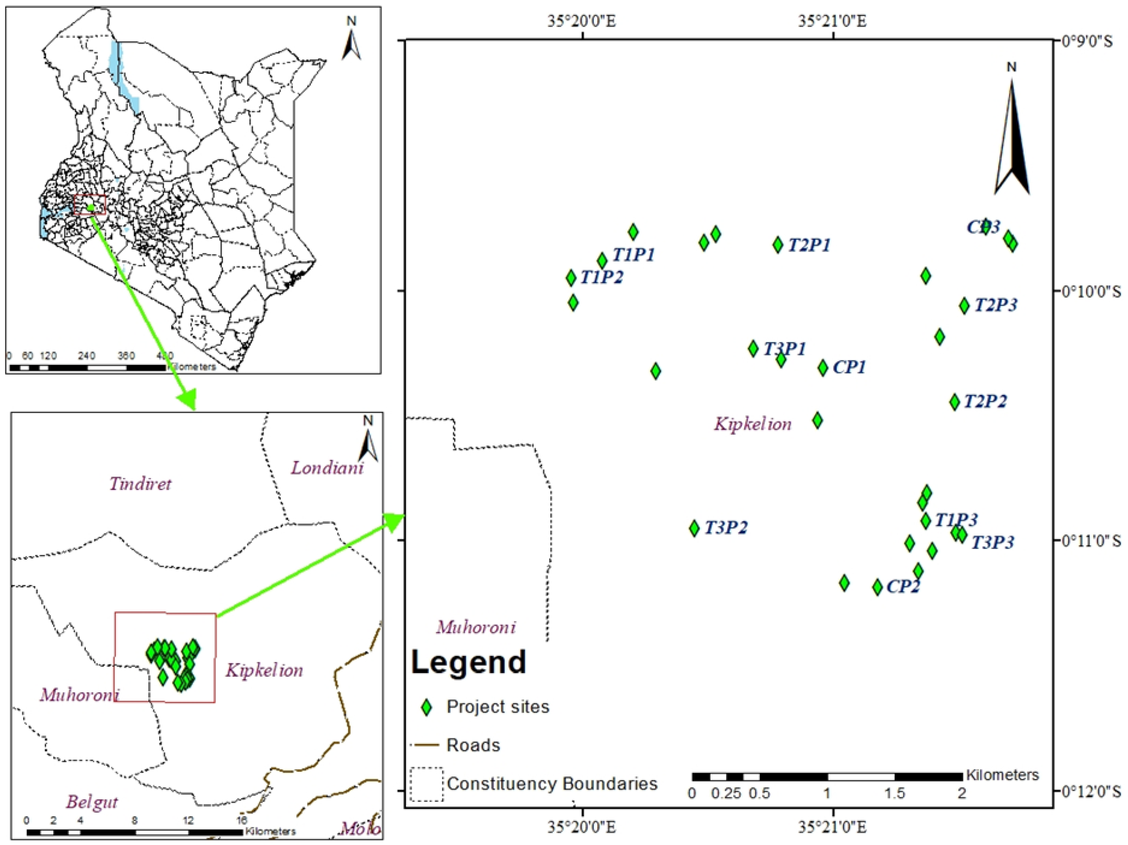 Agronomy 13 00655 g001