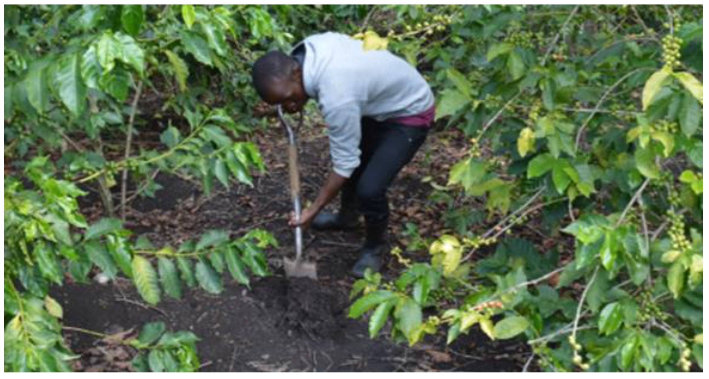 Agronomy 13 00655 g005