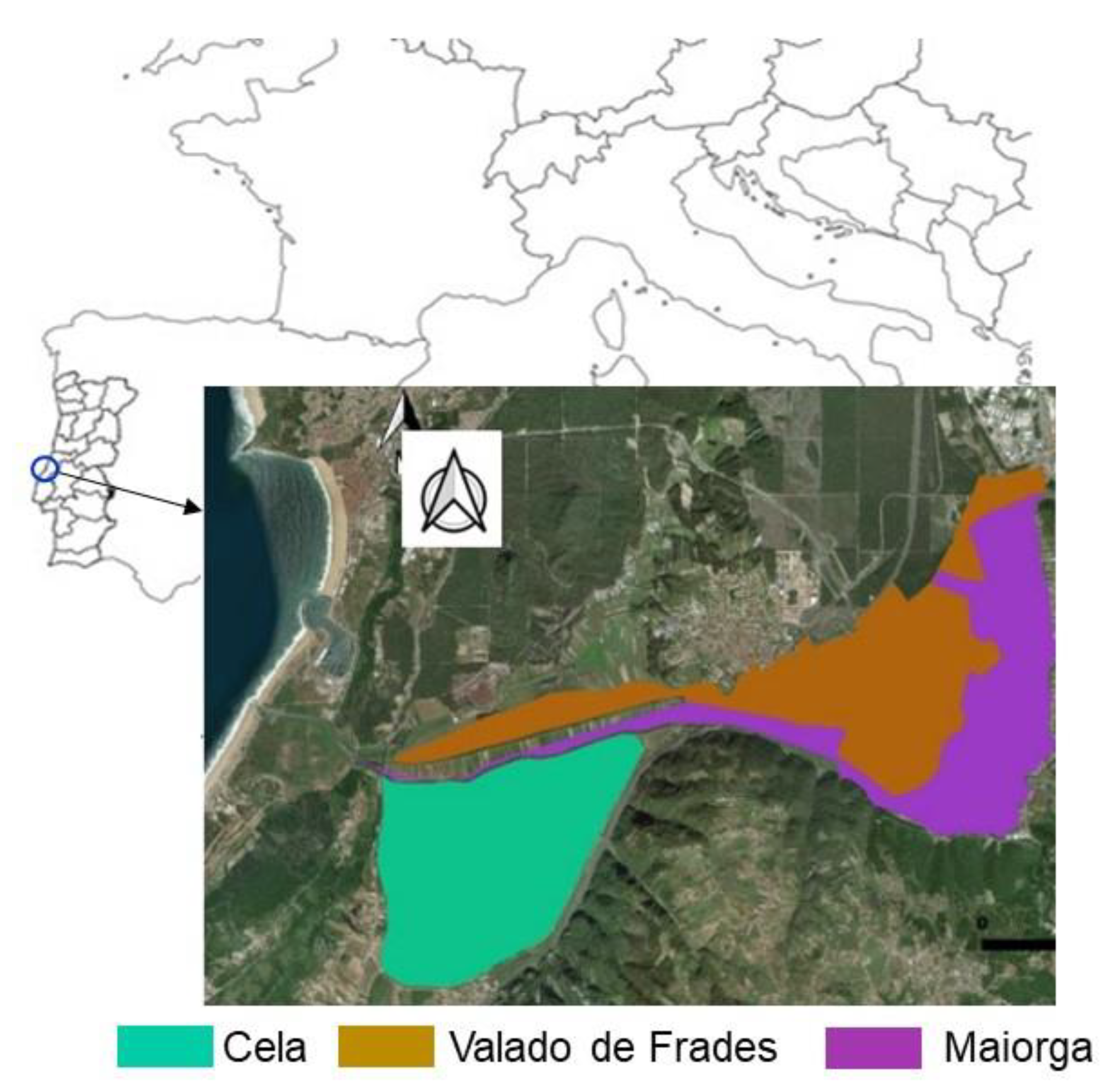 Agronomy 13 00661 g005