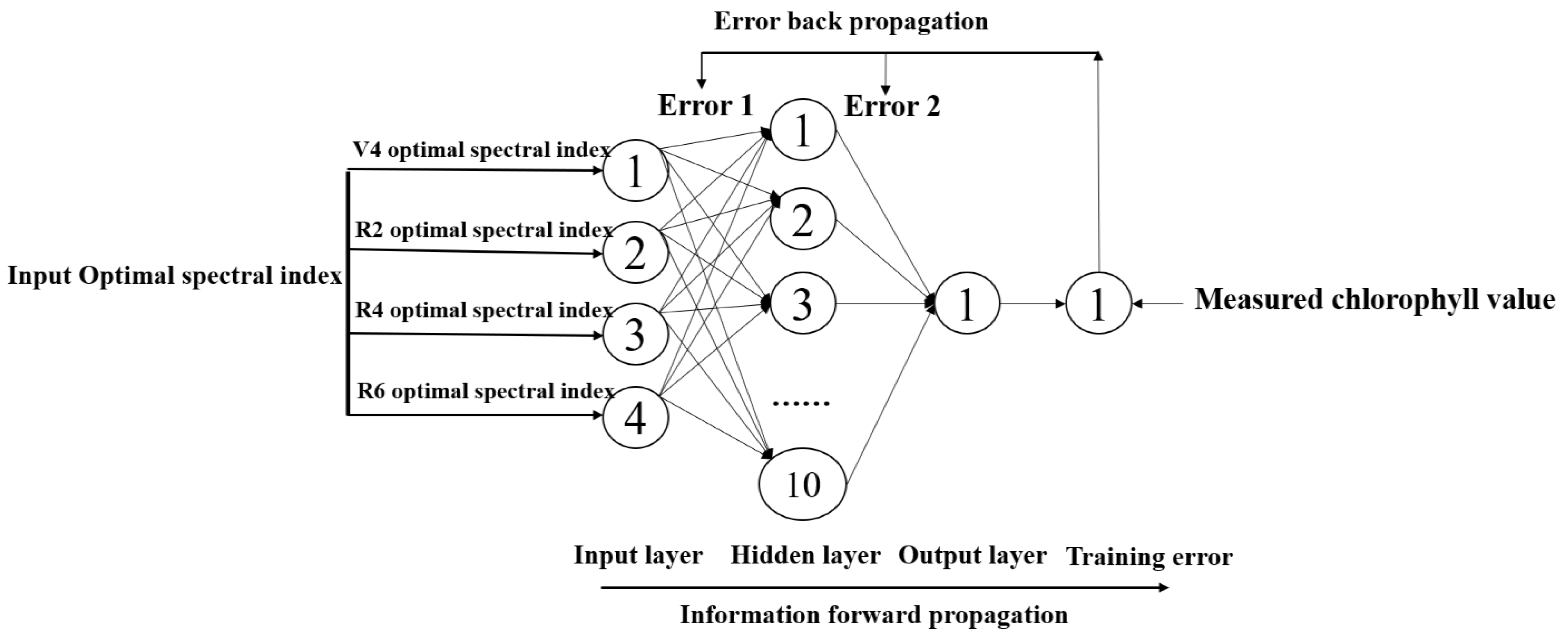 Agronomy 13 00663 g002 Agronomy 13 00663 g002