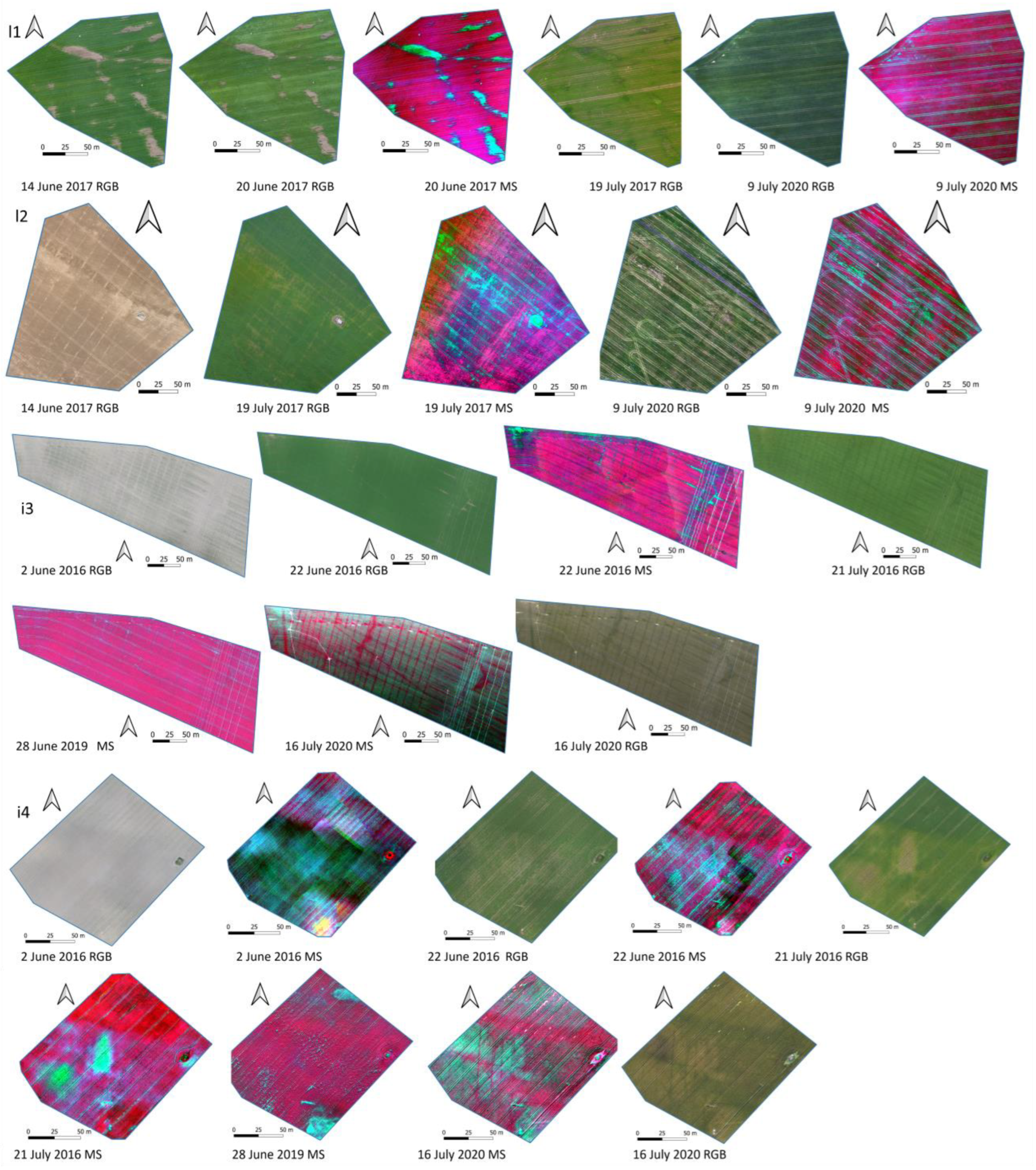 Agronomy 13 00669 g002 Agronomy 13 00669 g002