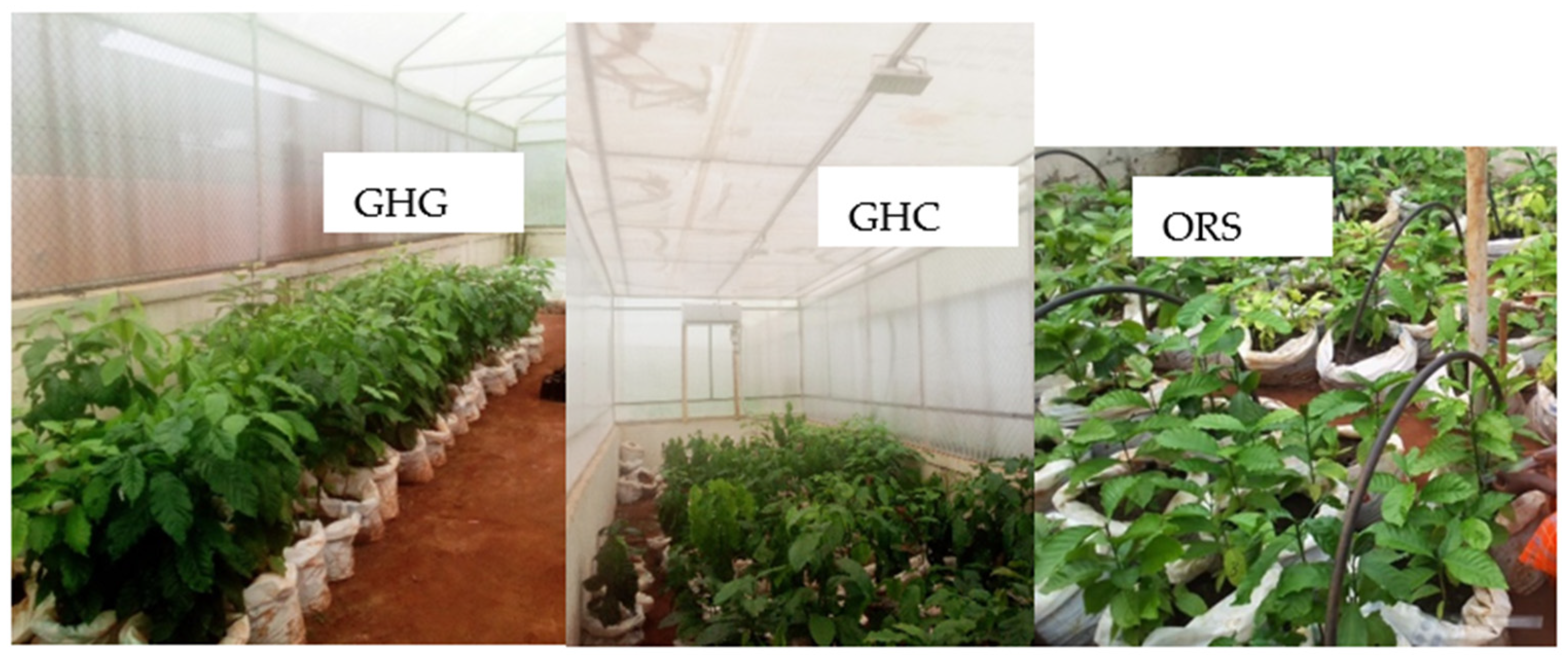 Agronomy 13 00674 sch001 Agronomy 13 00674 sch001