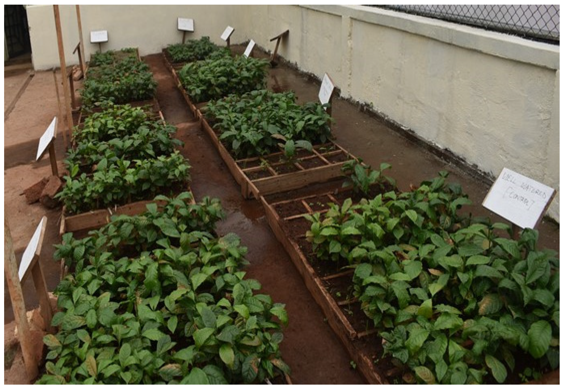 Agronomy 13 00674 sch002 Agronomy 13 00674 sch002