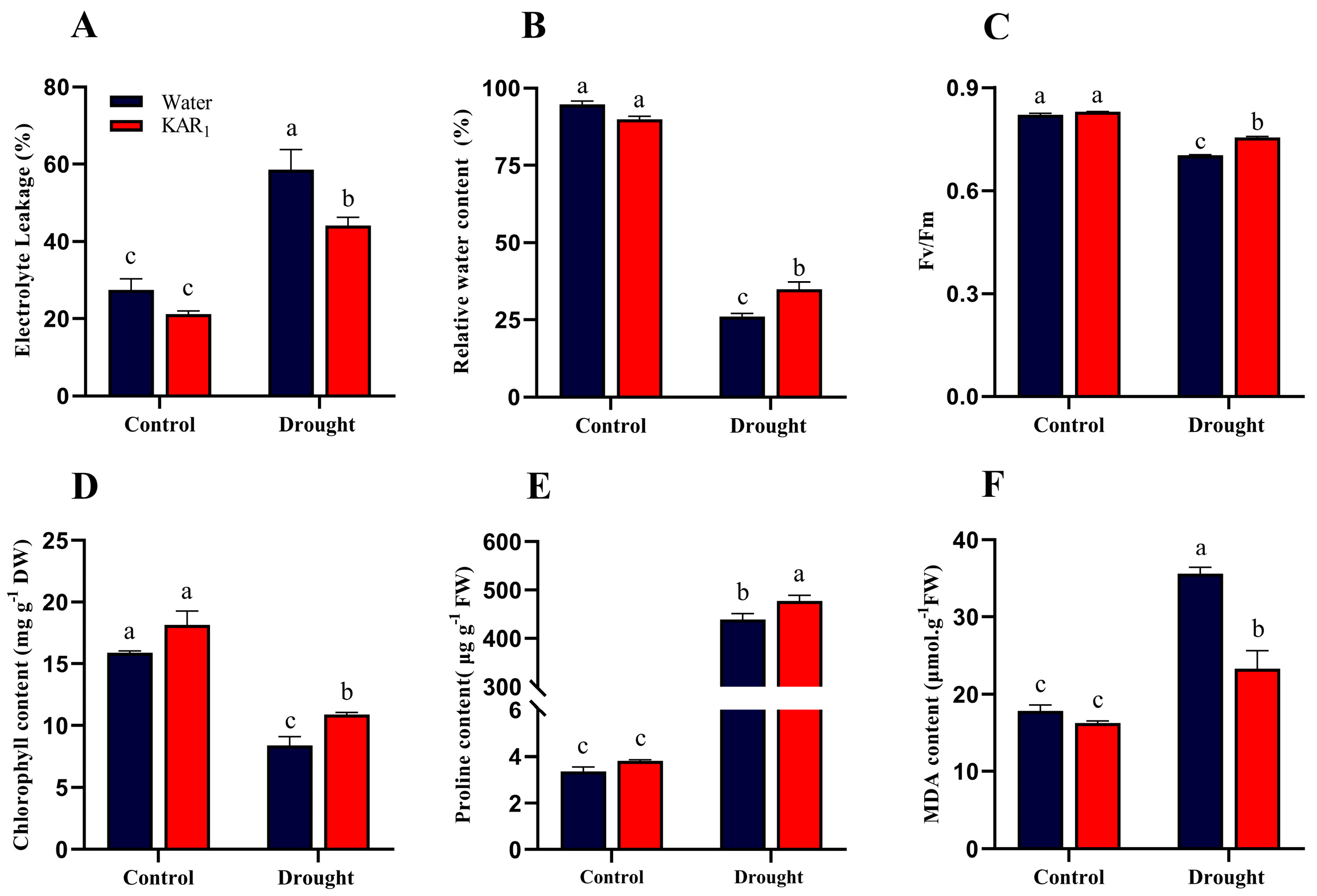 Agronomy 13 00675 g001