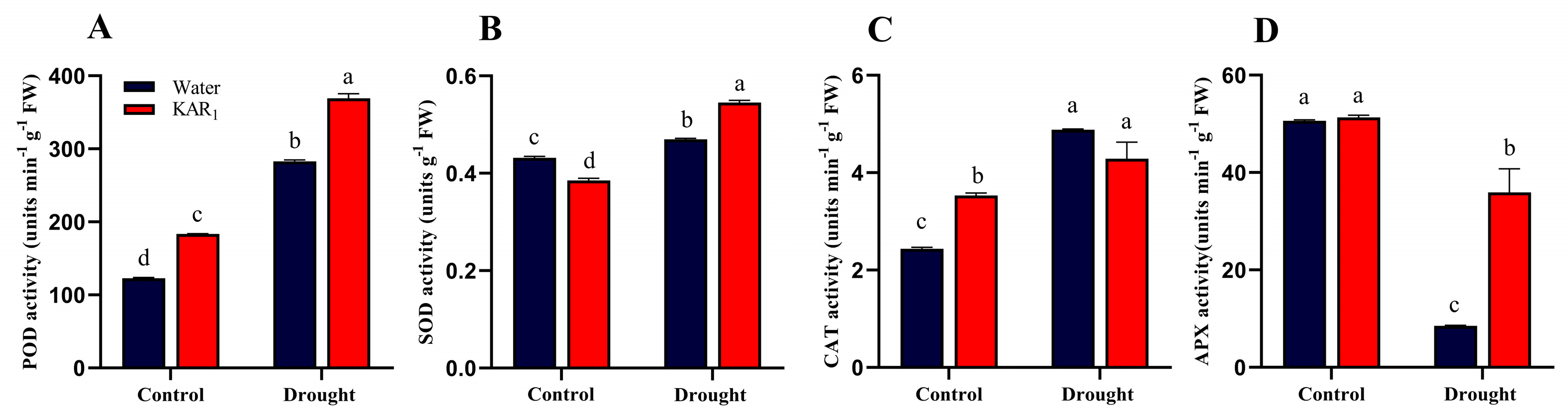 Agronomy 13 00675 g002