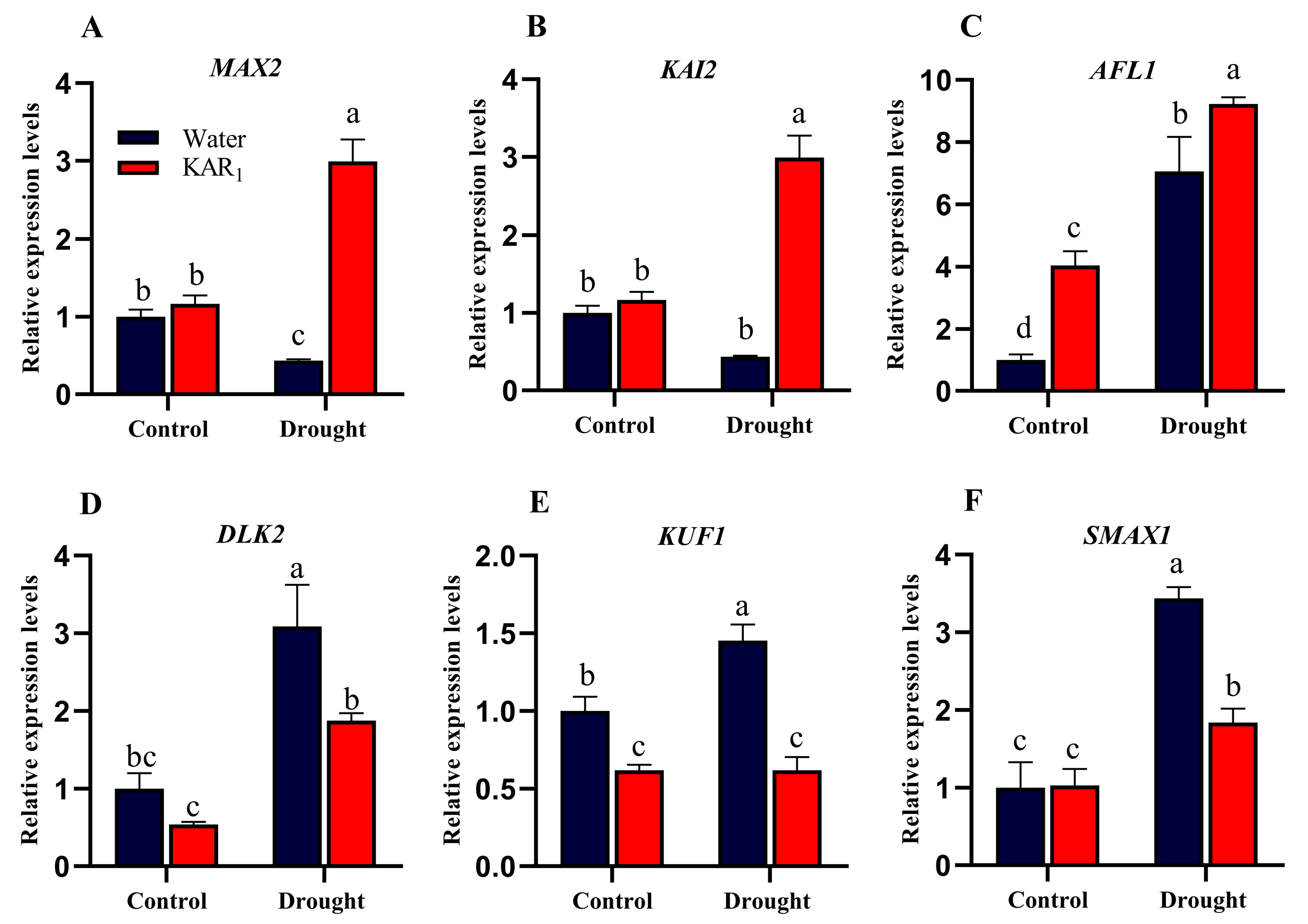 Agronomy 13 00675 g003