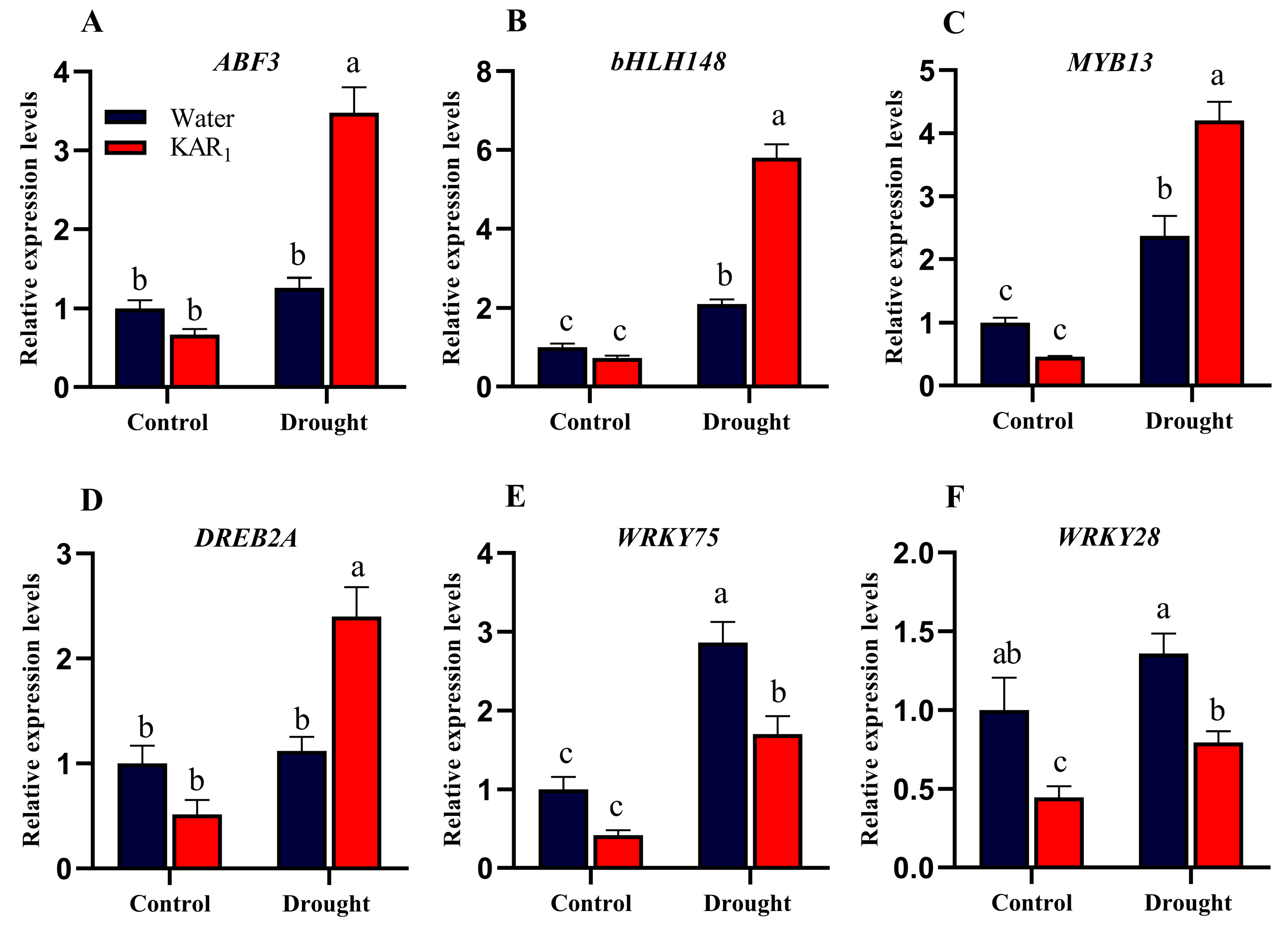 Agronomy 13 00675 g004