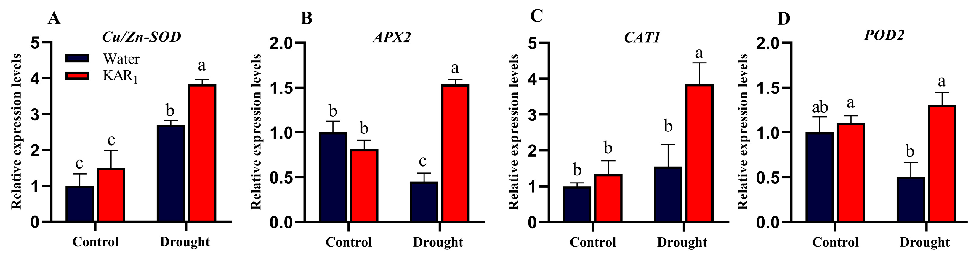 Agronomy 13 00675 g005