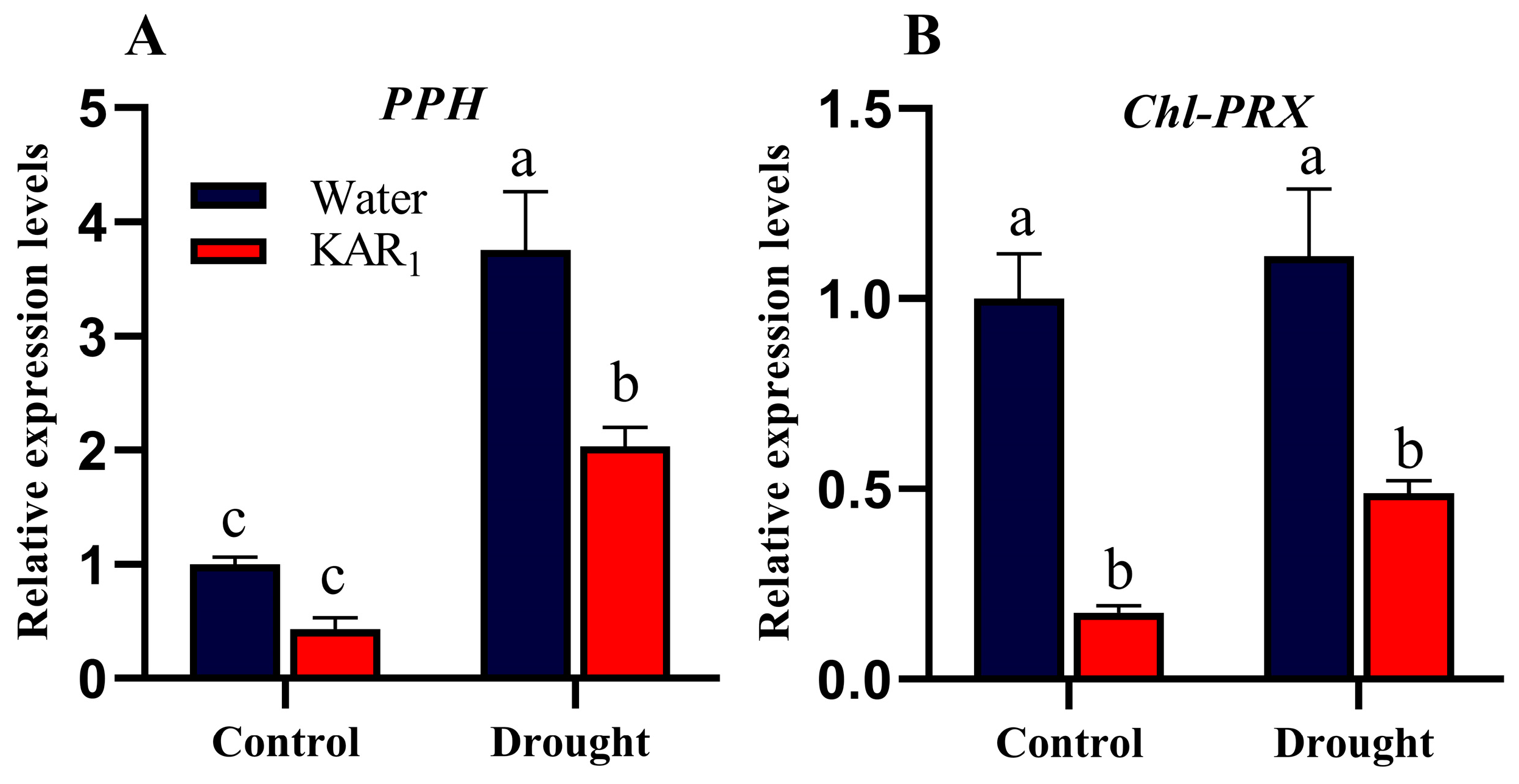 Agronomy 13 00675 g006