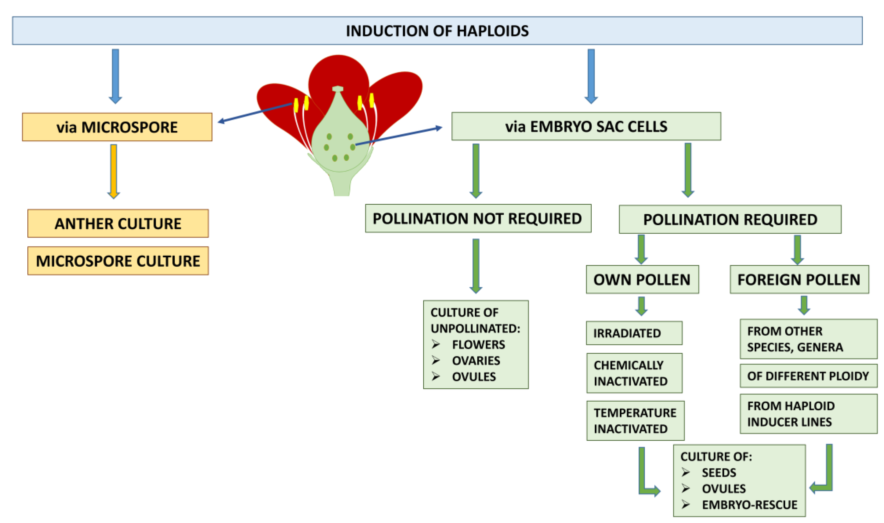 Agronomy 13 00676 g001