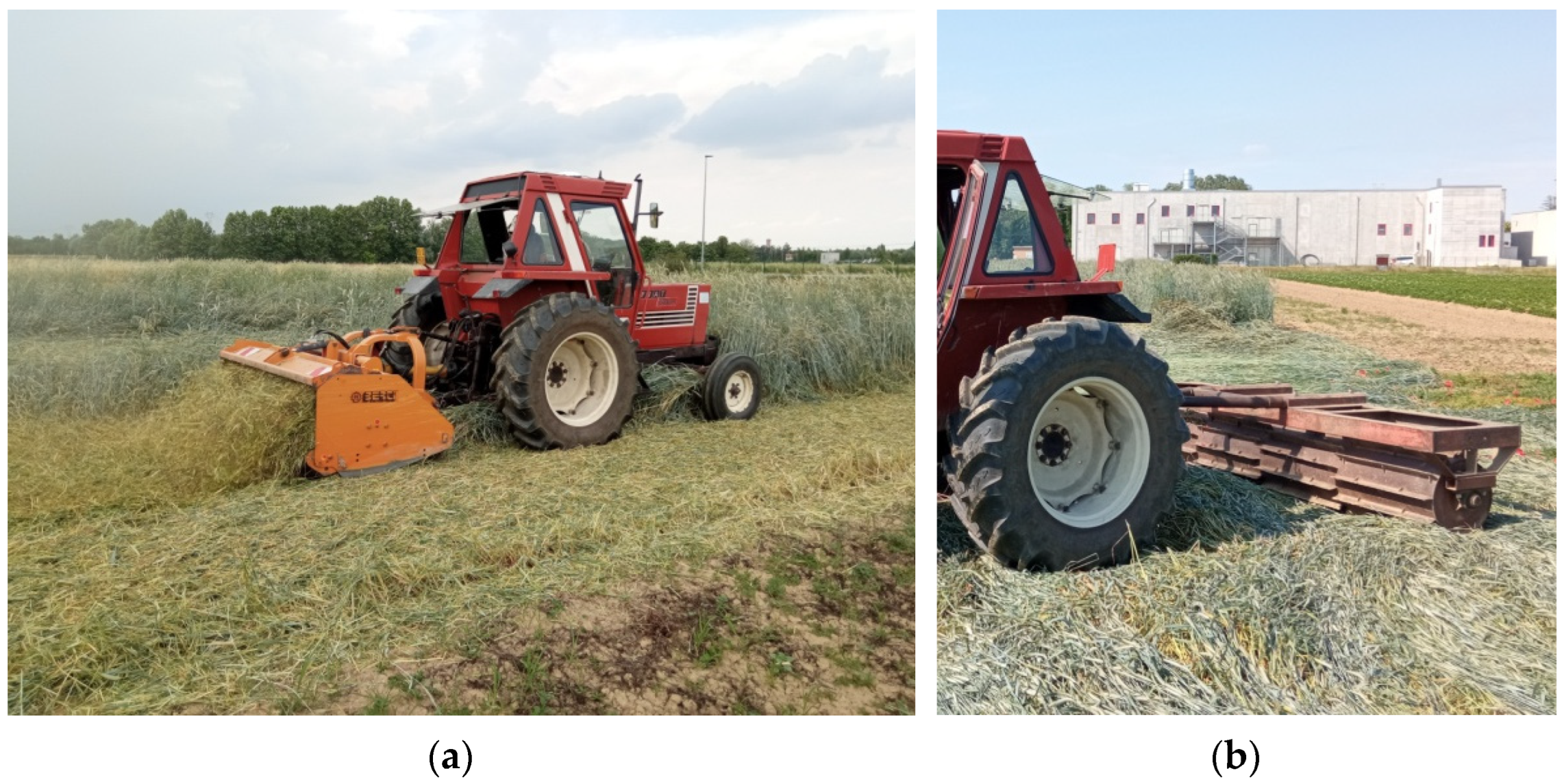 Agronomy 13 00686 g002