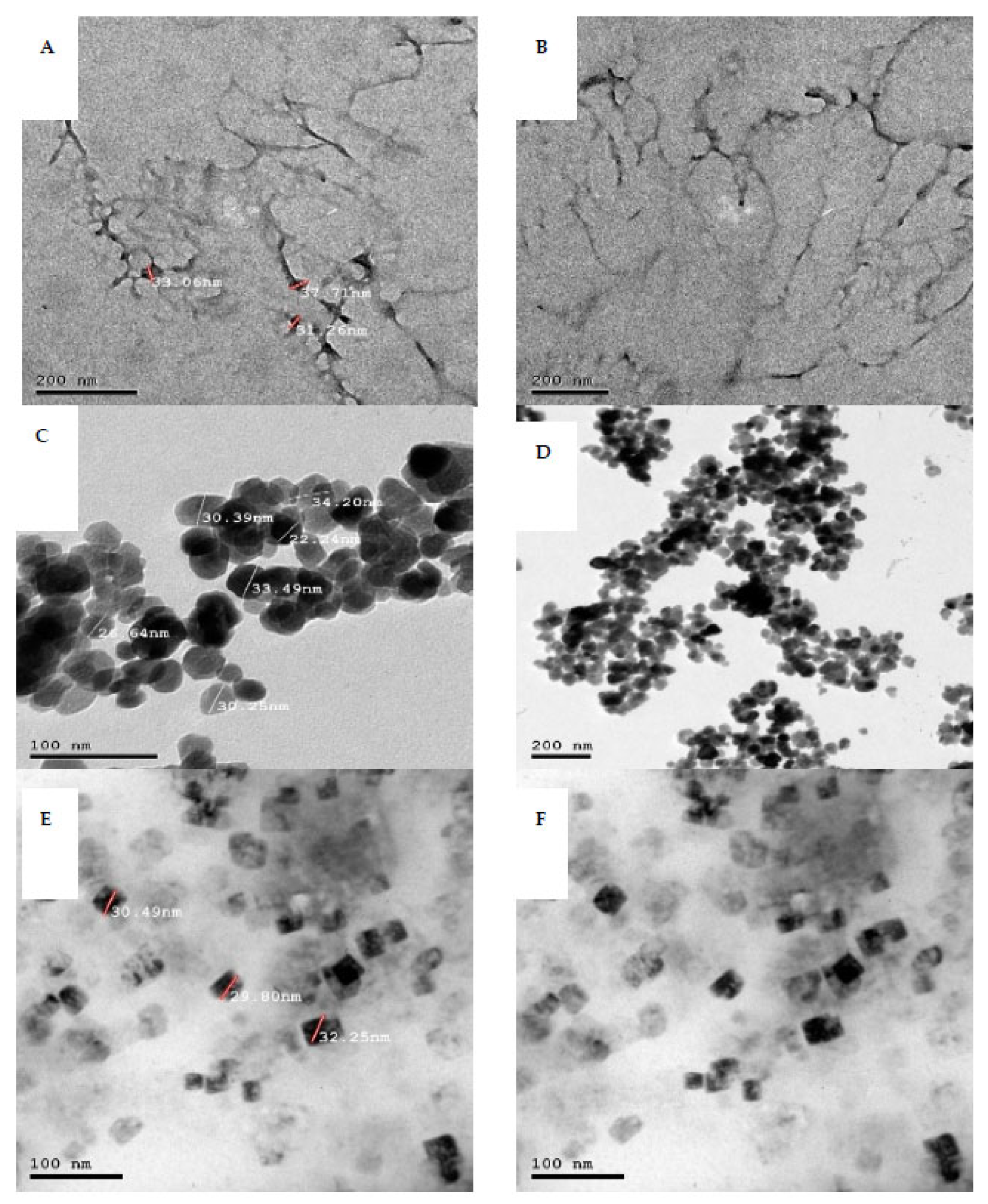 Nanoparticulate Fertilizers Increase Nutrient Absorption