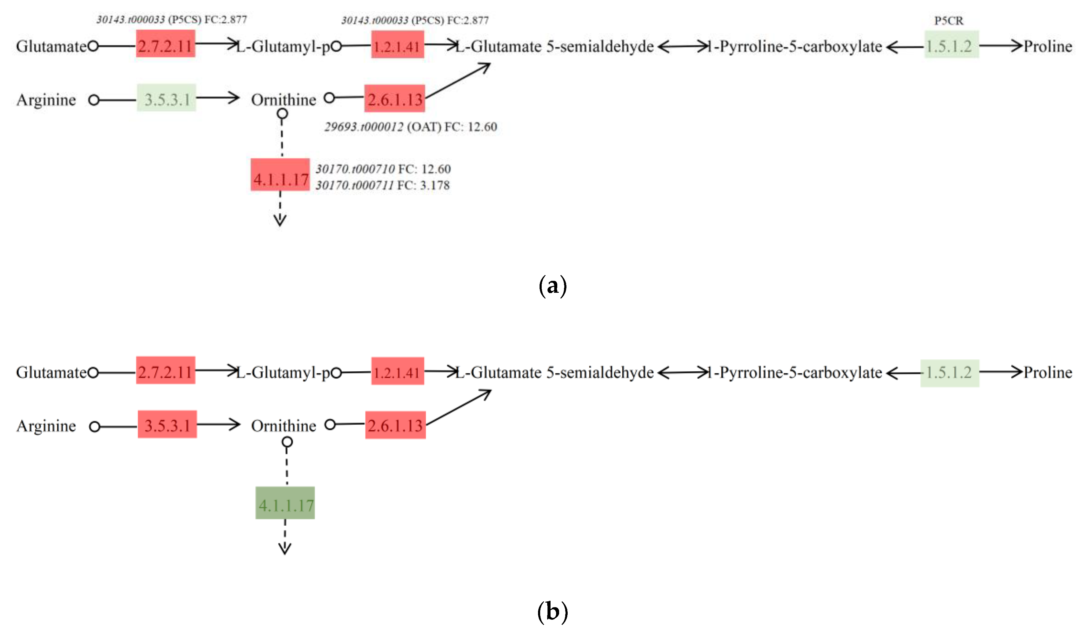 Agronomy 13 00693 g009