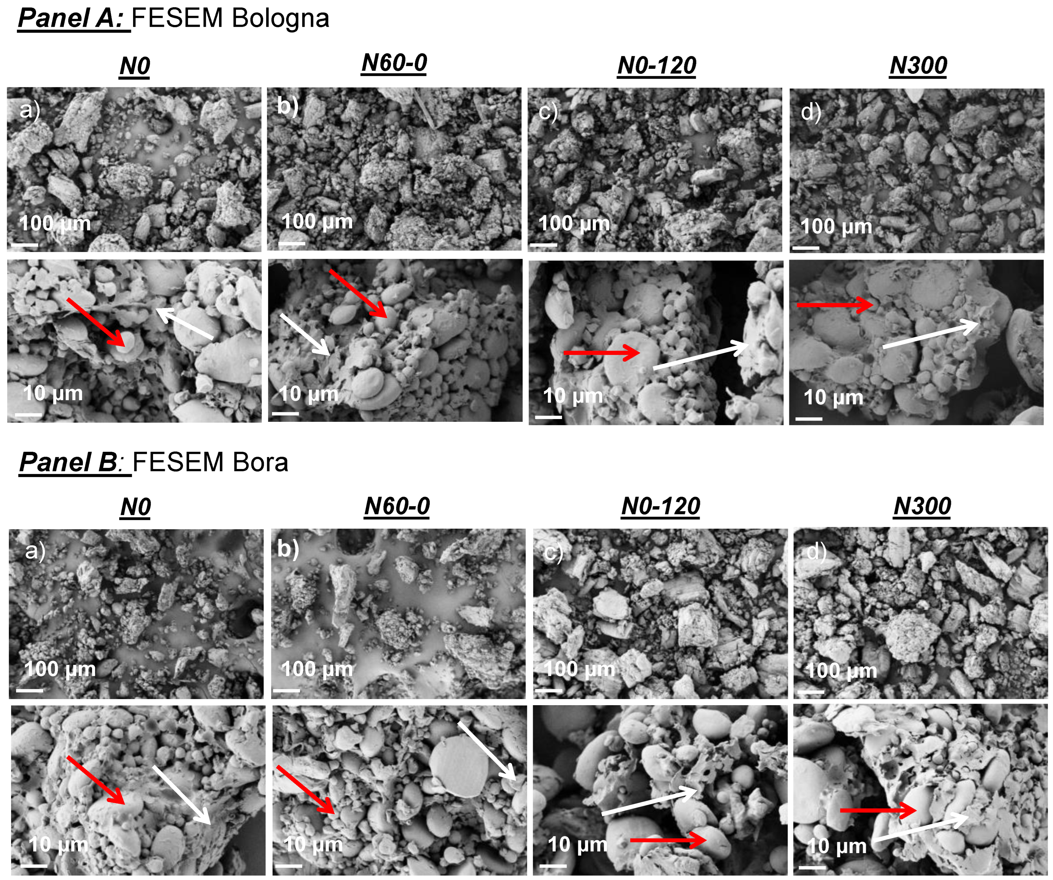 Agronomy 13 00697 g001 Agronomy 13 00697 g001