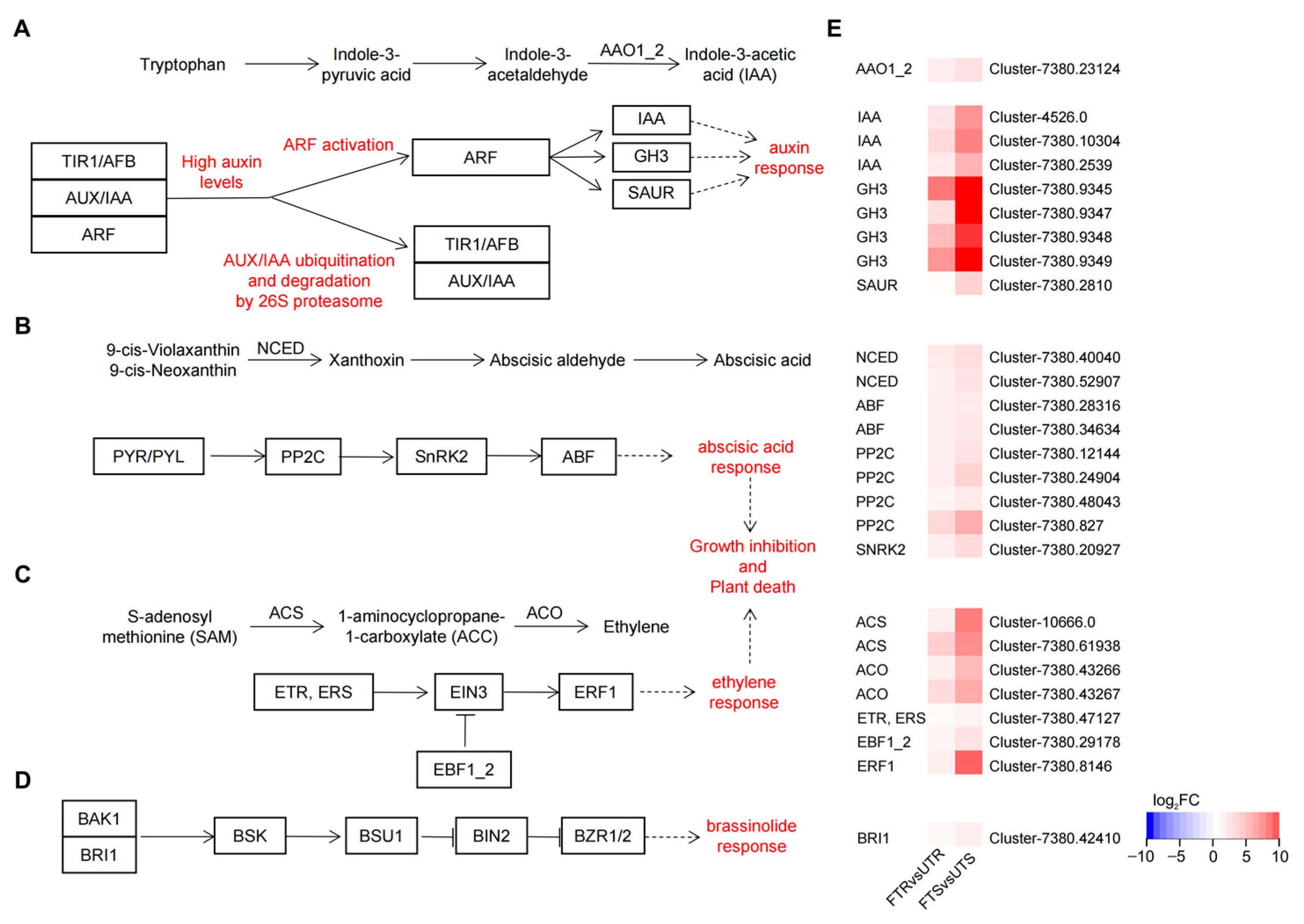 Agronomy 13 00702 g006 Agronomy 13 00702 g006