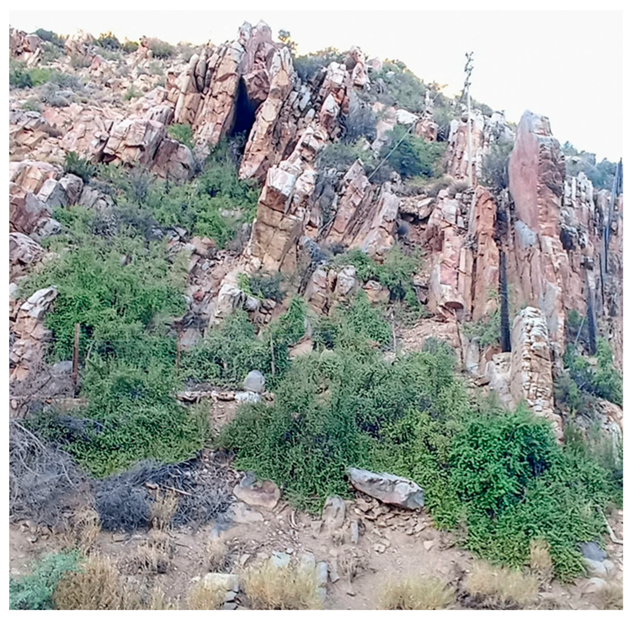 Agronomy 13 00709 g001 Agronomy 13 00709 g001