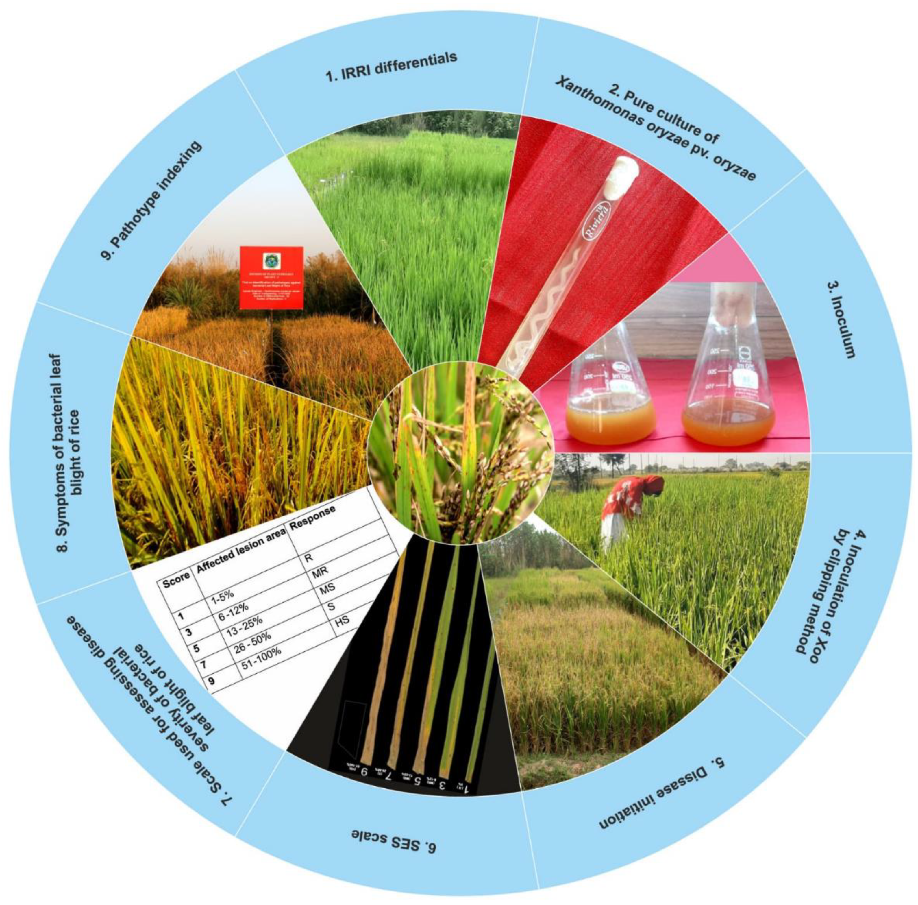 Agronomy 13 00713 g002 Agronomy 13 00713 g002
