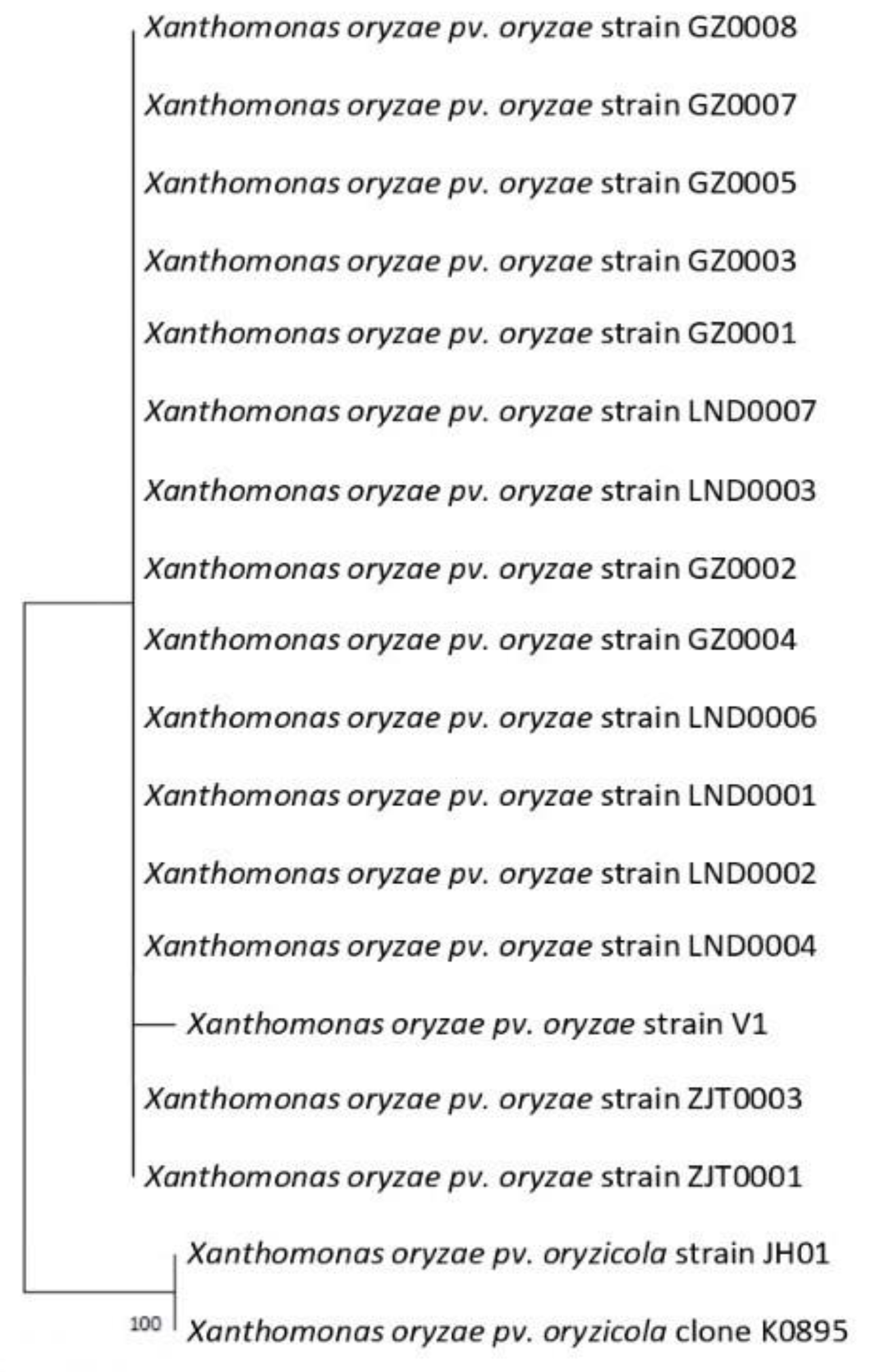 Agronomy 13 00713 g003 Agronomy 13 00713 g003