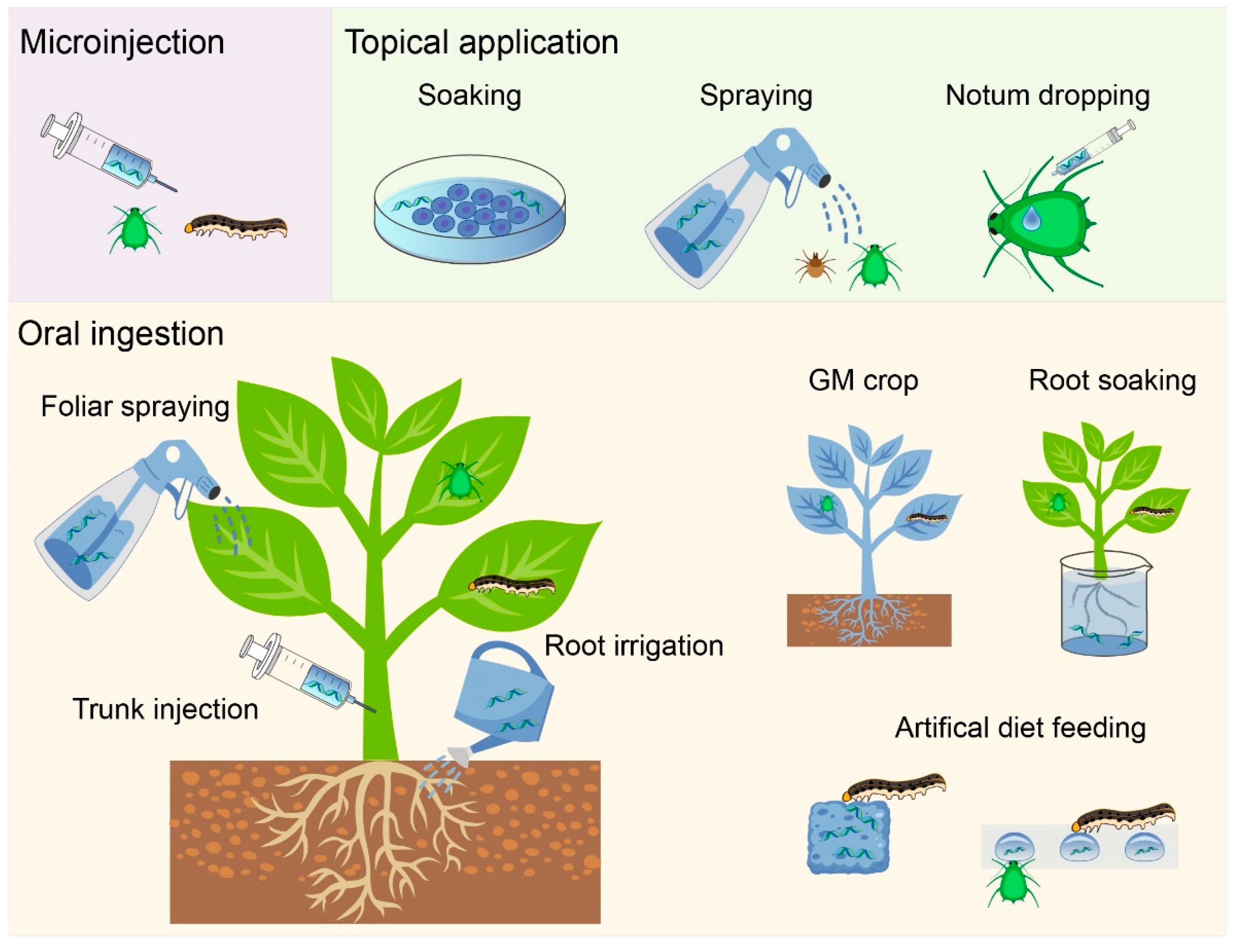 Agronomy 13 00714 g001 Agronomy 13 00714 g001