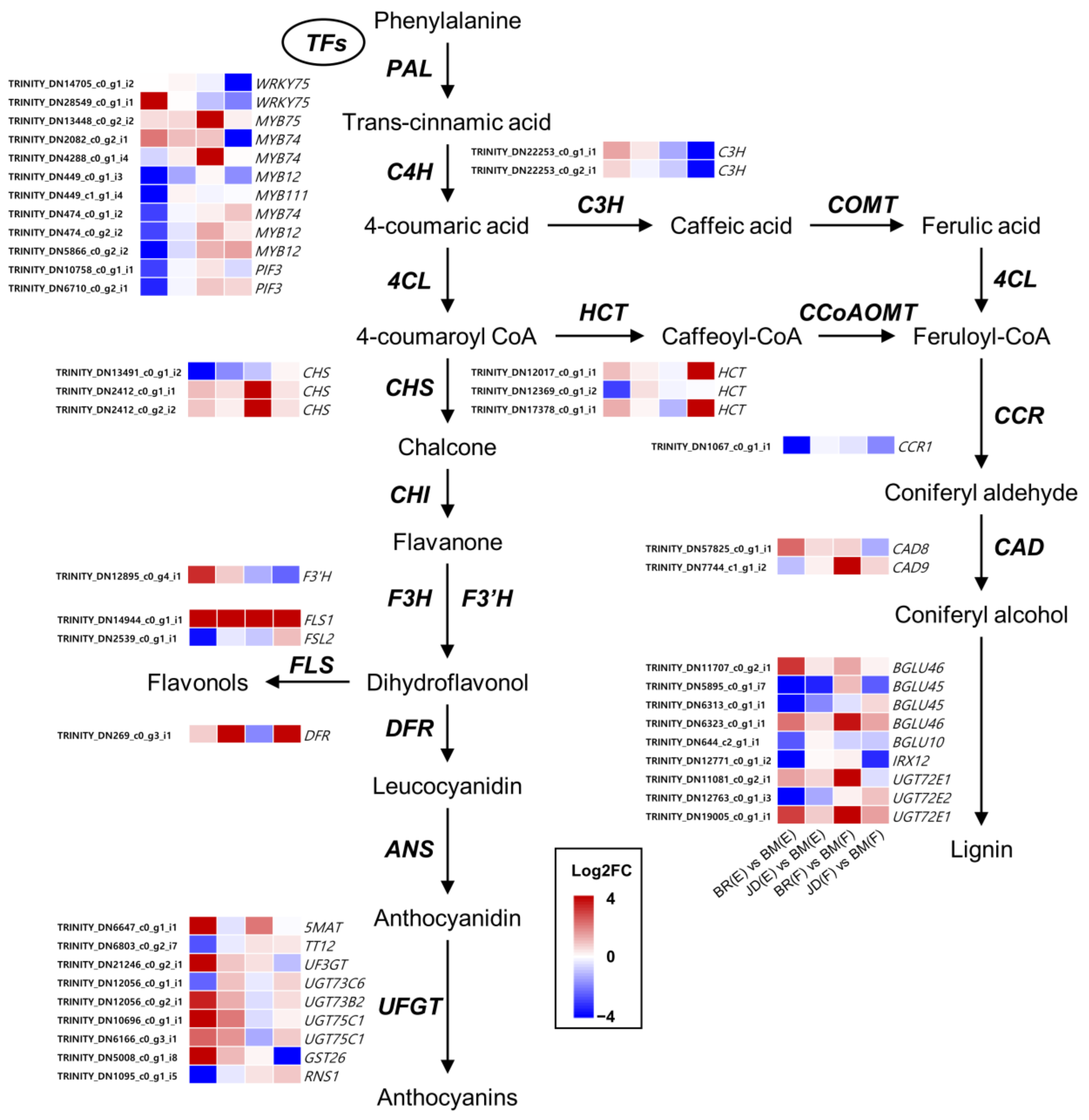 Agronomy 13 00715 g003 Agronomy 13 00715 g003