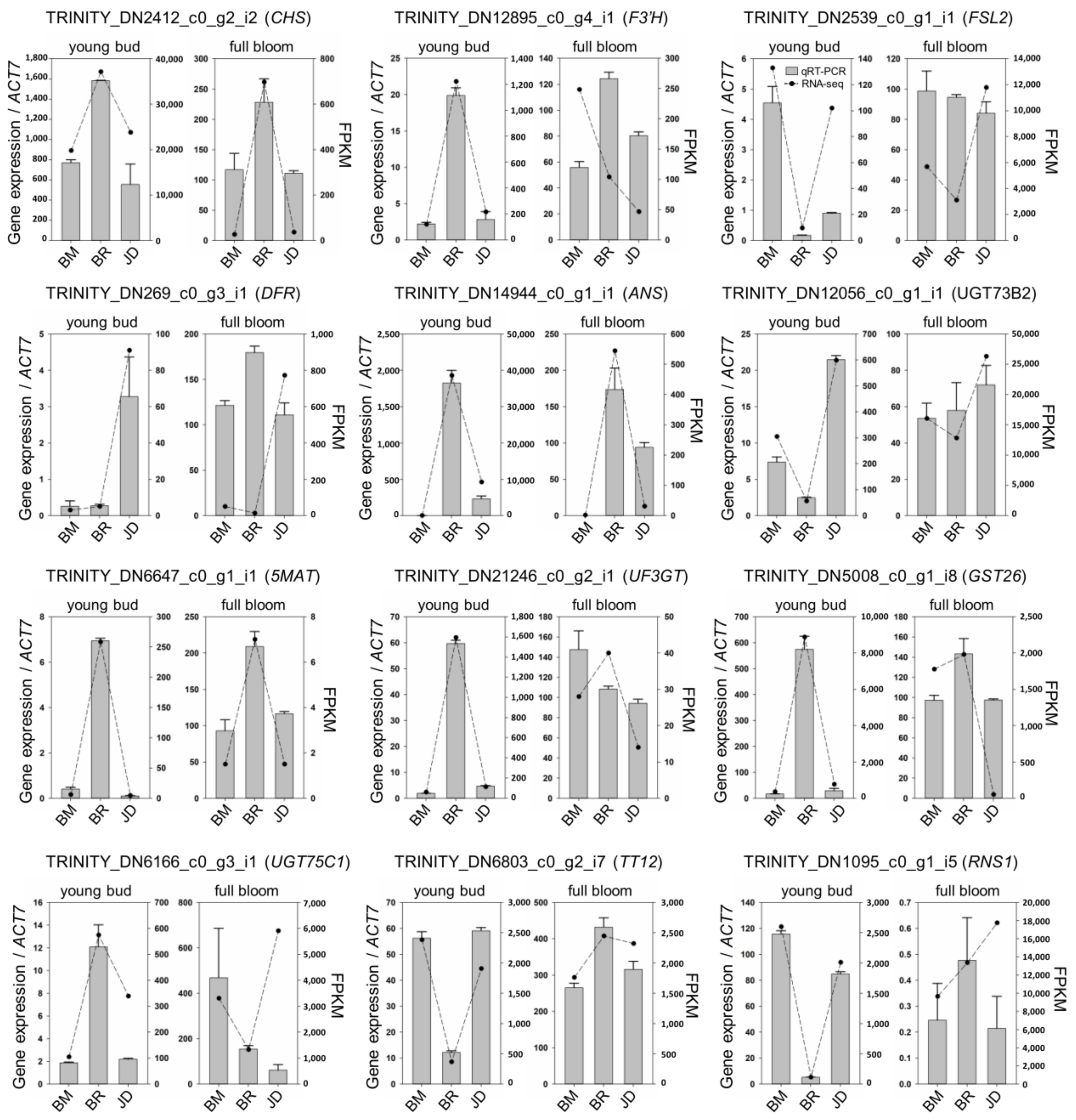 Agronomy 13 00715 g004 Agronomy 13 00715 g004