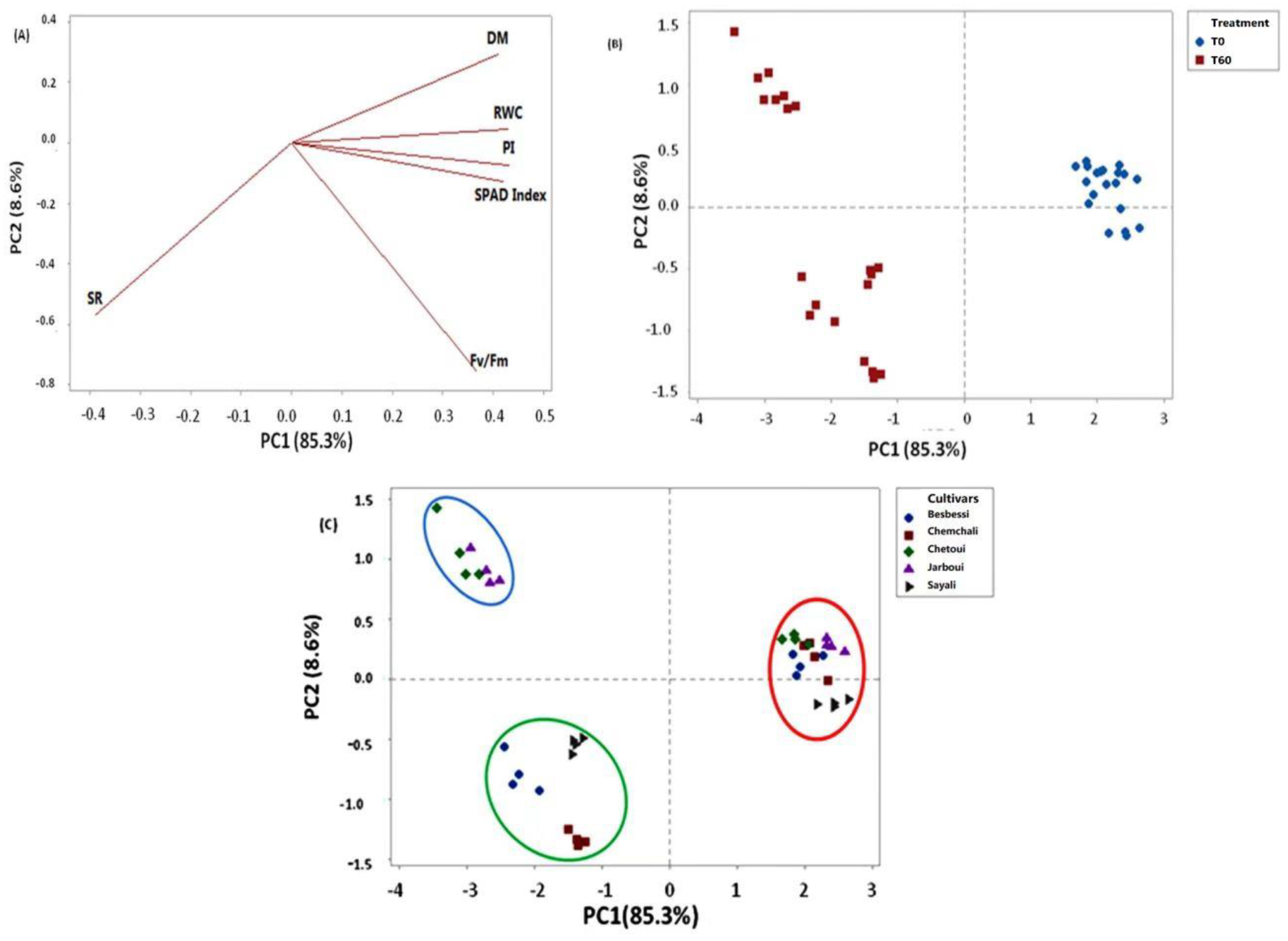 Agronomy 13 00720 g001