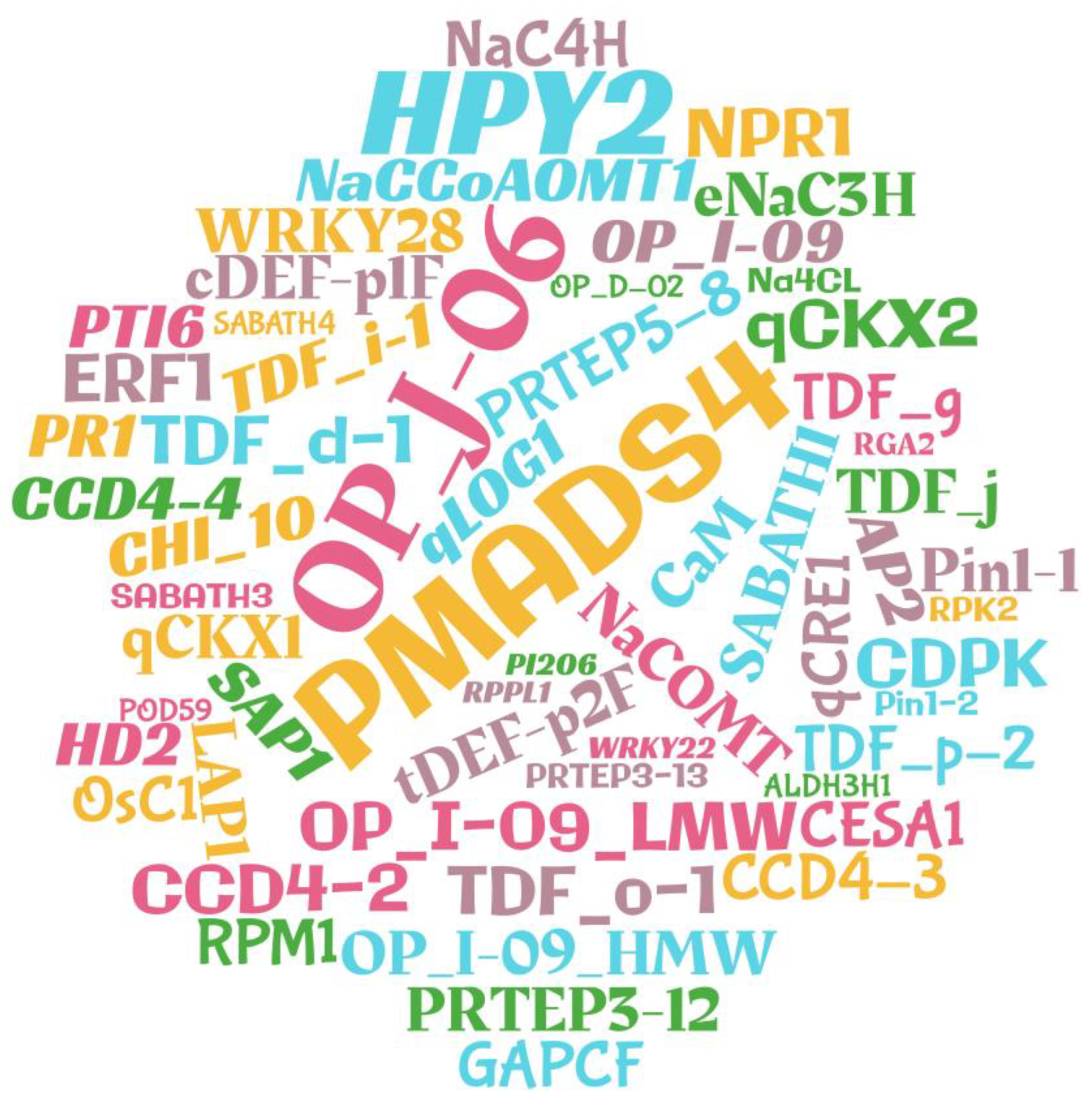 Agronomy 13 00730 g011