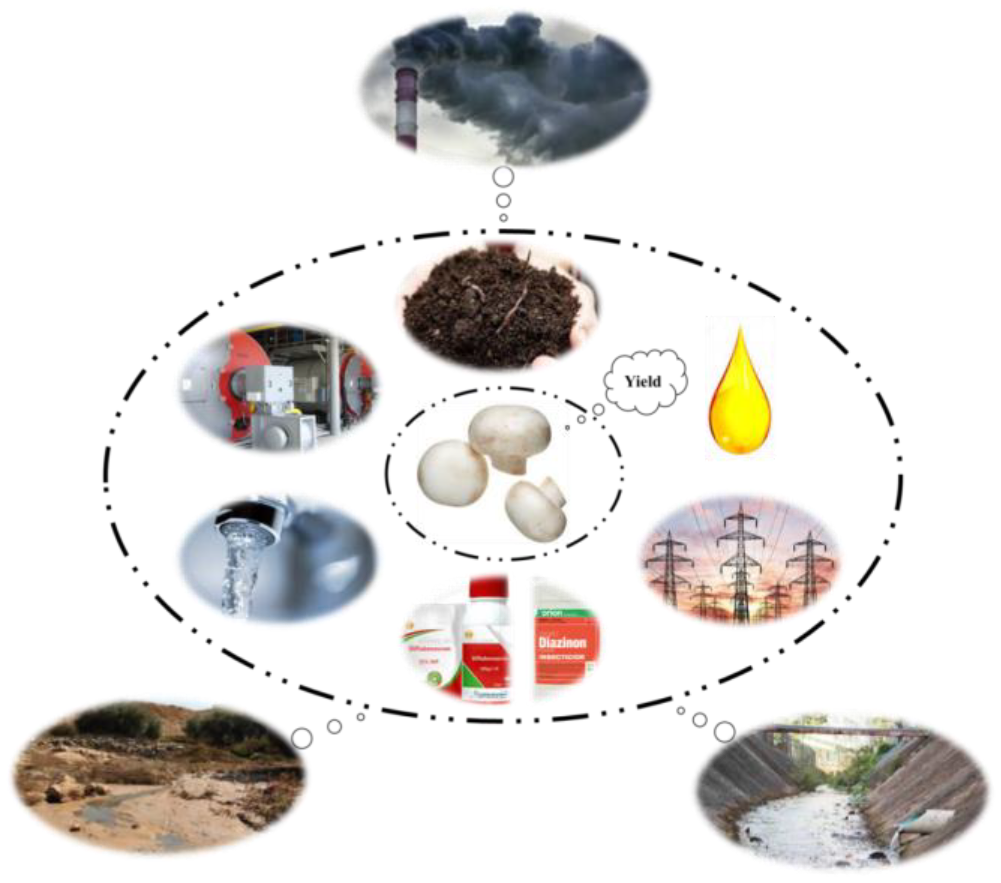 Agronomy 13 00737 g002