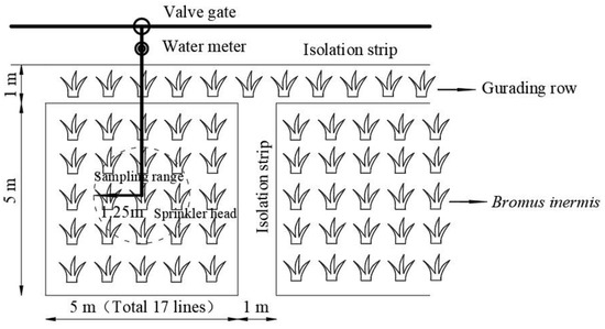 Response of Water-Nitrogen Distribution and Use to Water