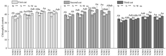 Response of Water-Nitrogen Distribution and Use to Water