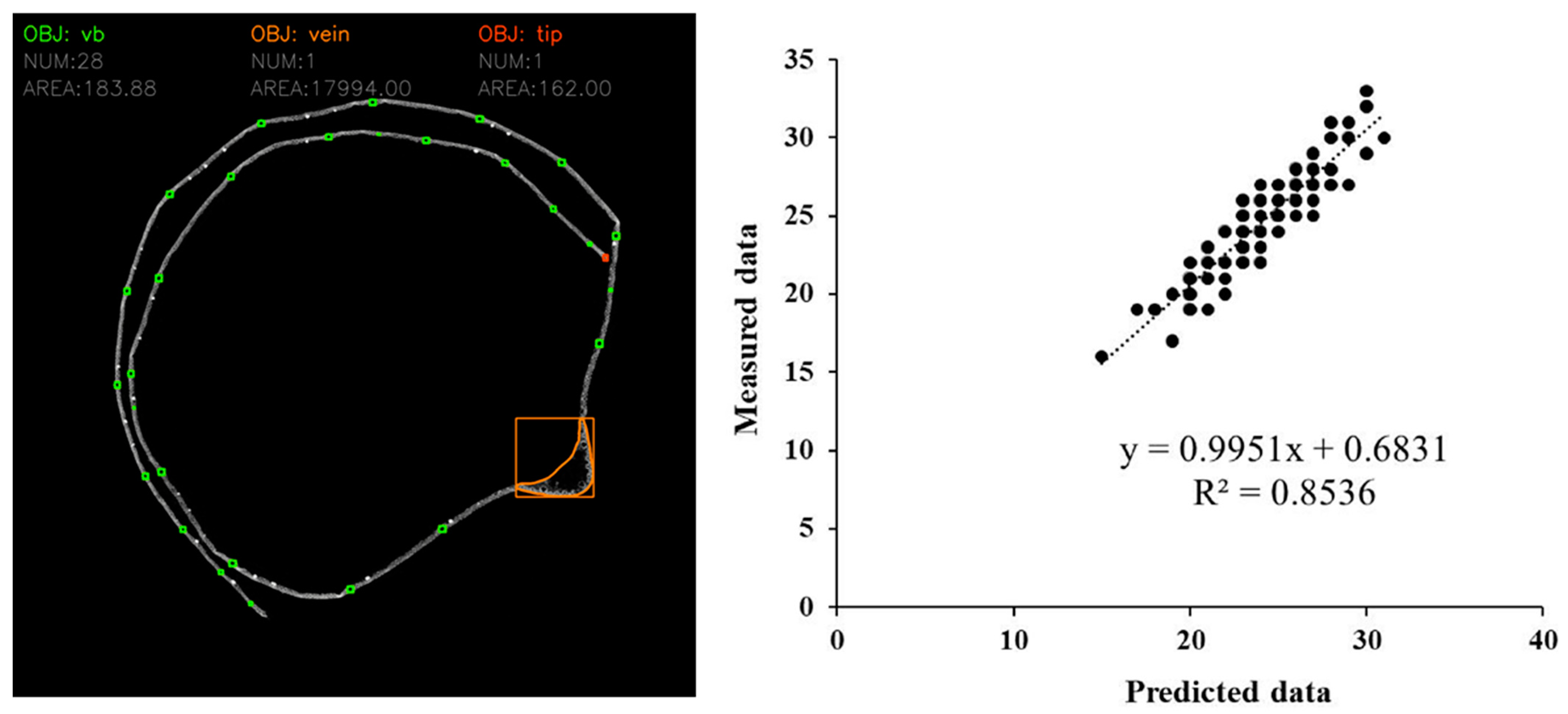 Agronomy 13 00753 g002 Agronomy 13 00753 g002