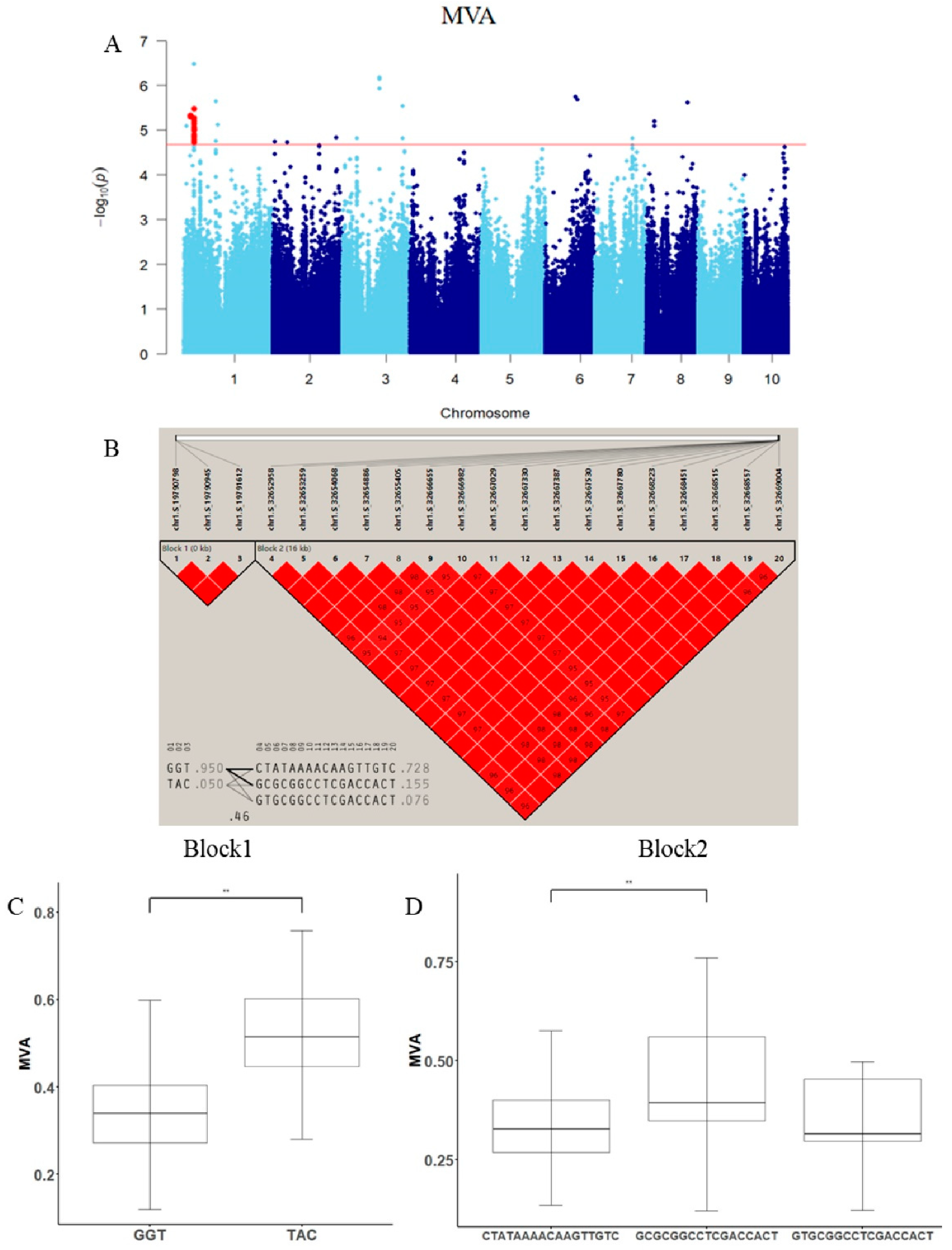 Agronomy 13 00753 g007 Agronomy 13 00753 g007