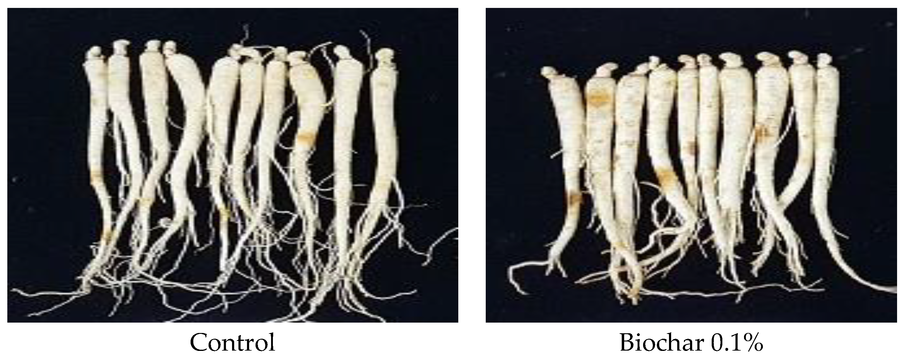 Agronomy 13 00756 g009a