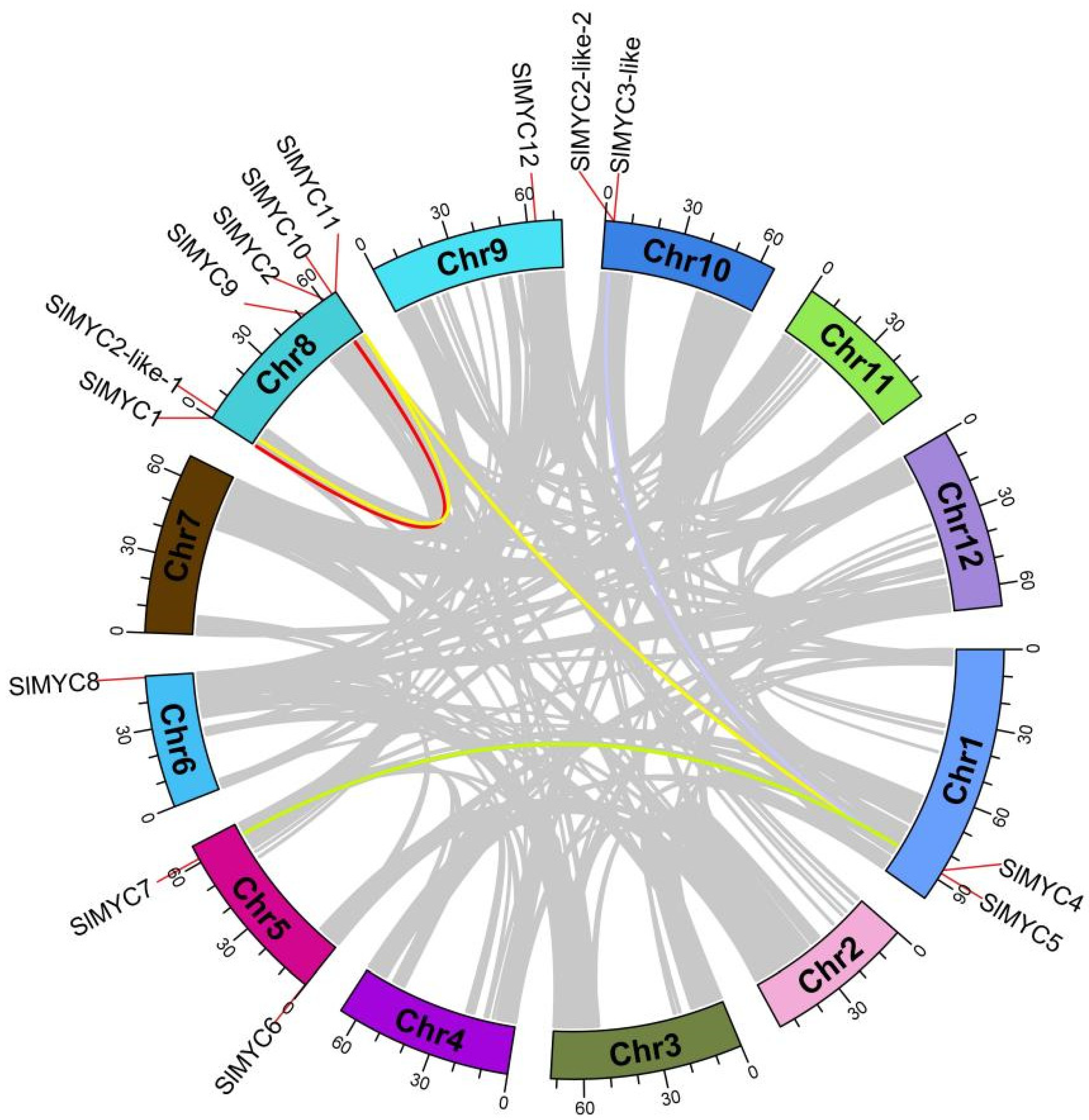 Agronomy 13 00757 g001