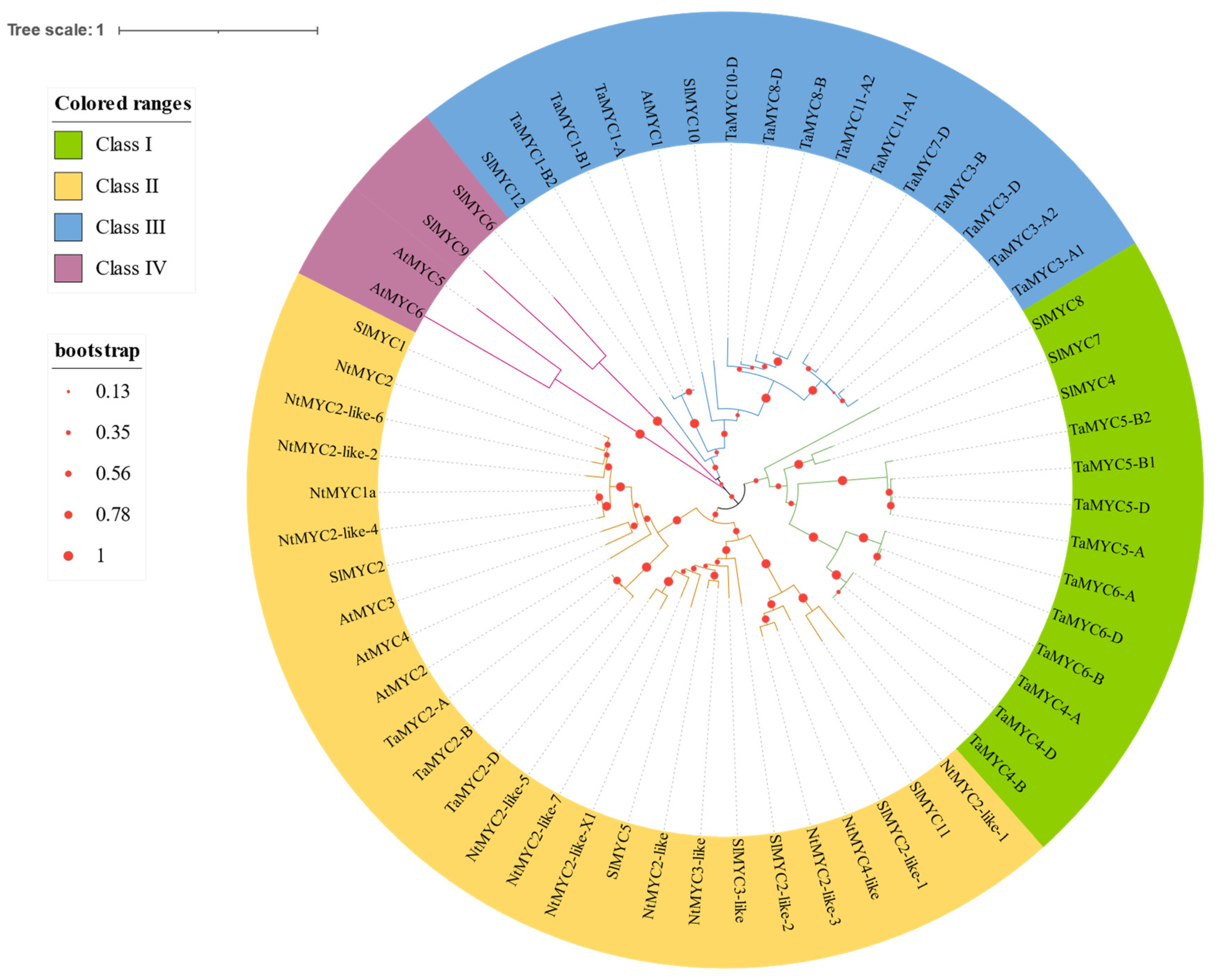 Agronomy 13 00757 g002