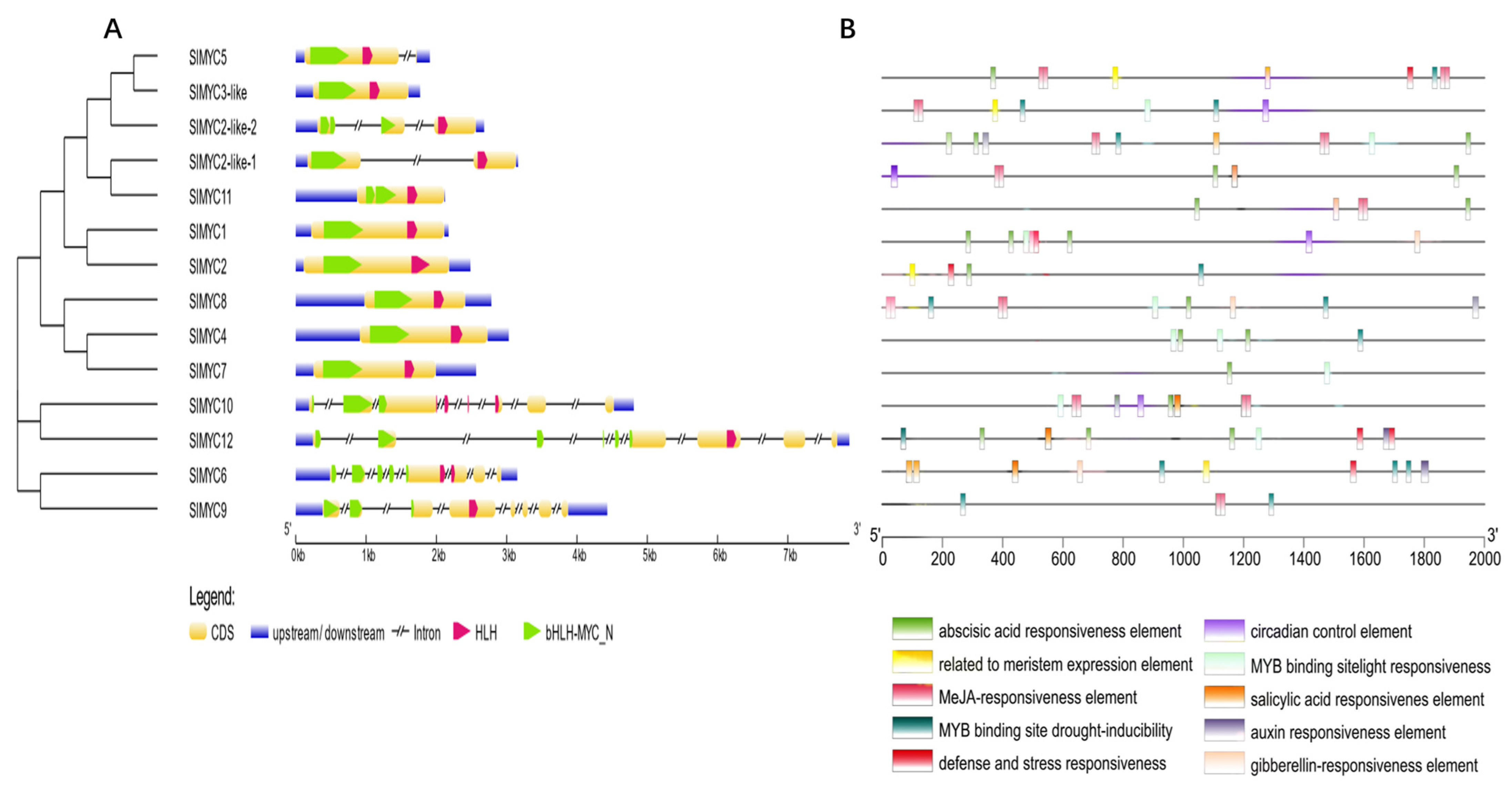 Agronomy 13 00757 g004