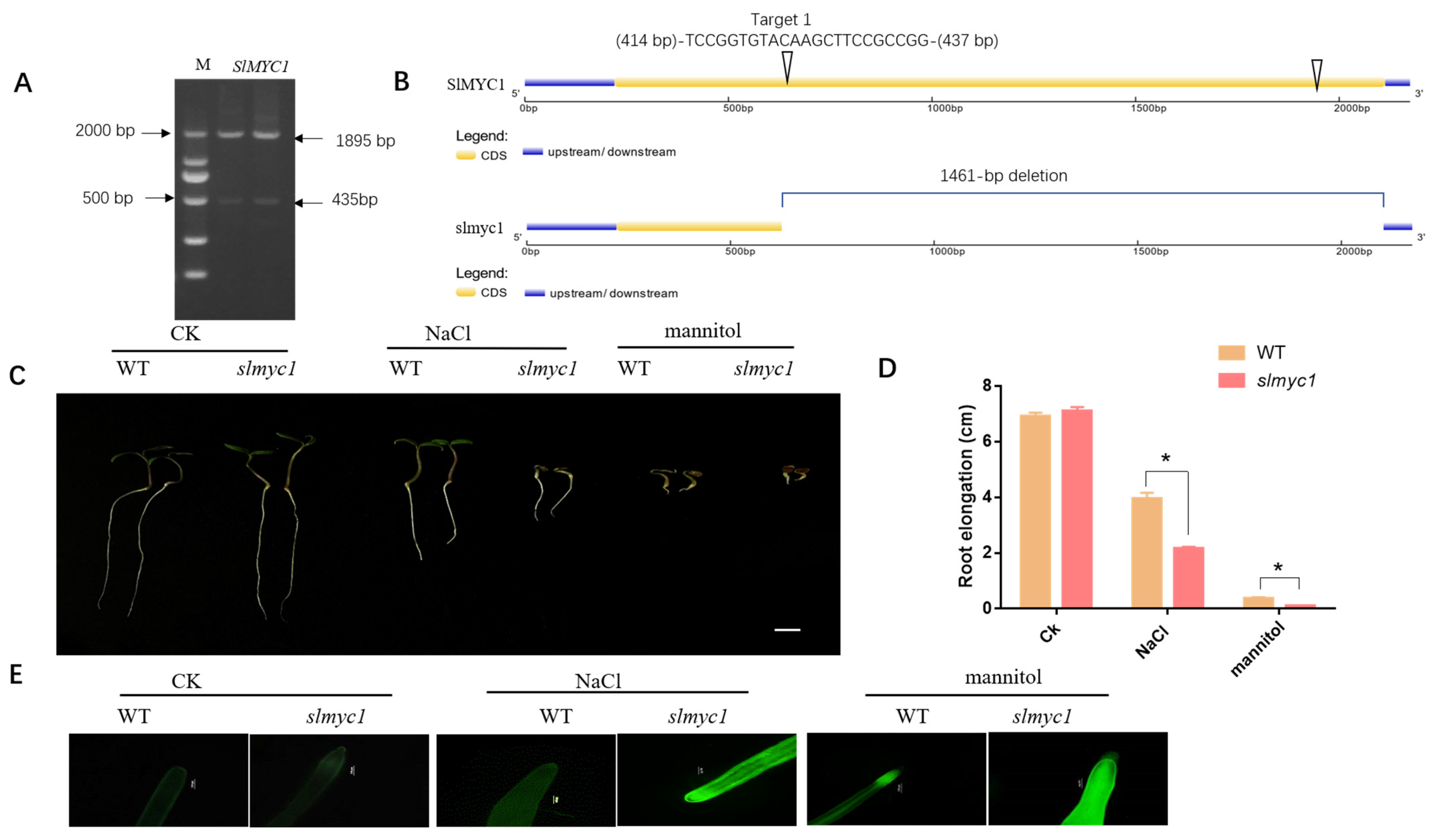 Agronomy 13 00757 g009