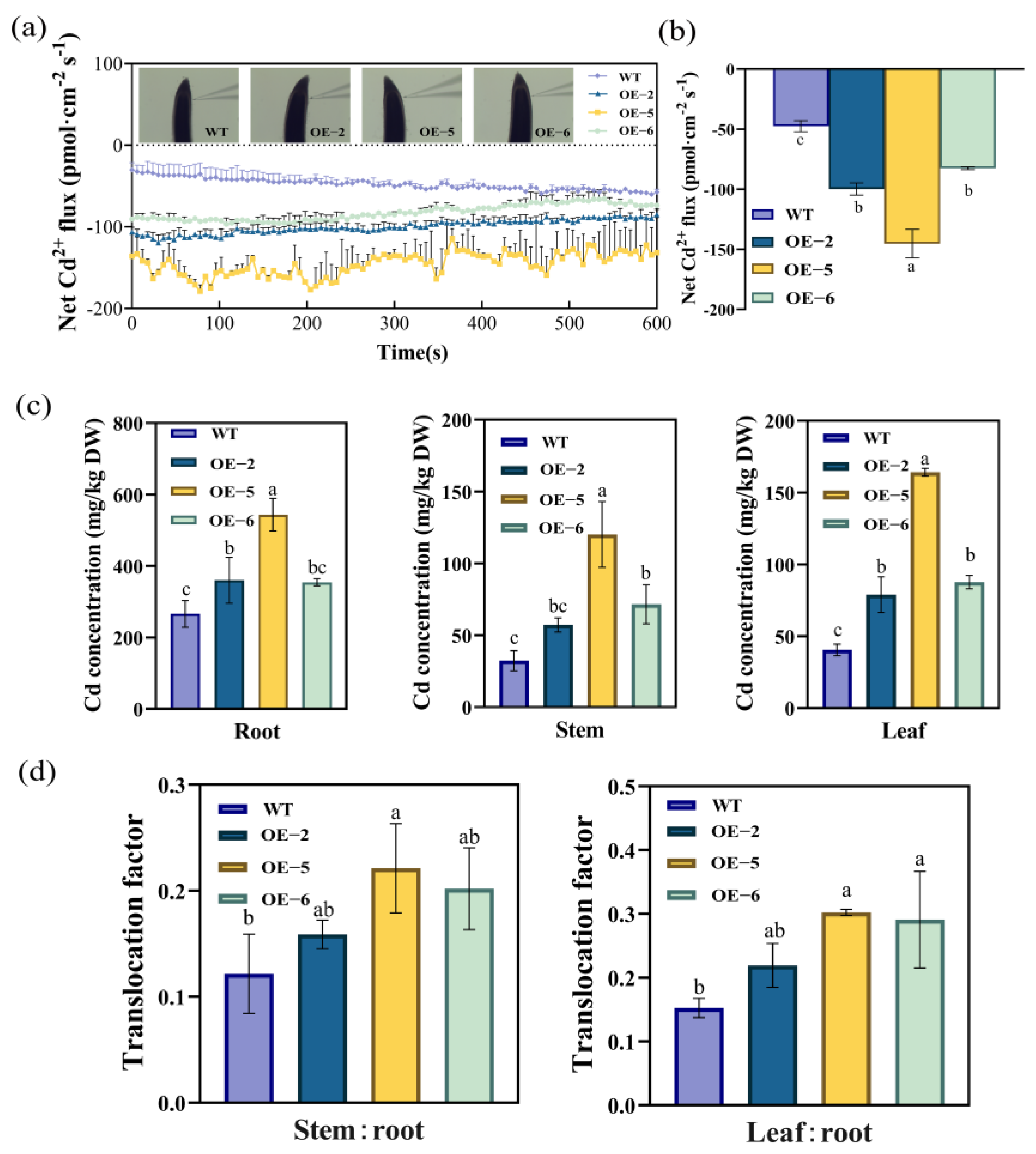 Agronomy 13 00760 g002 Agronomy 13 00760 g002