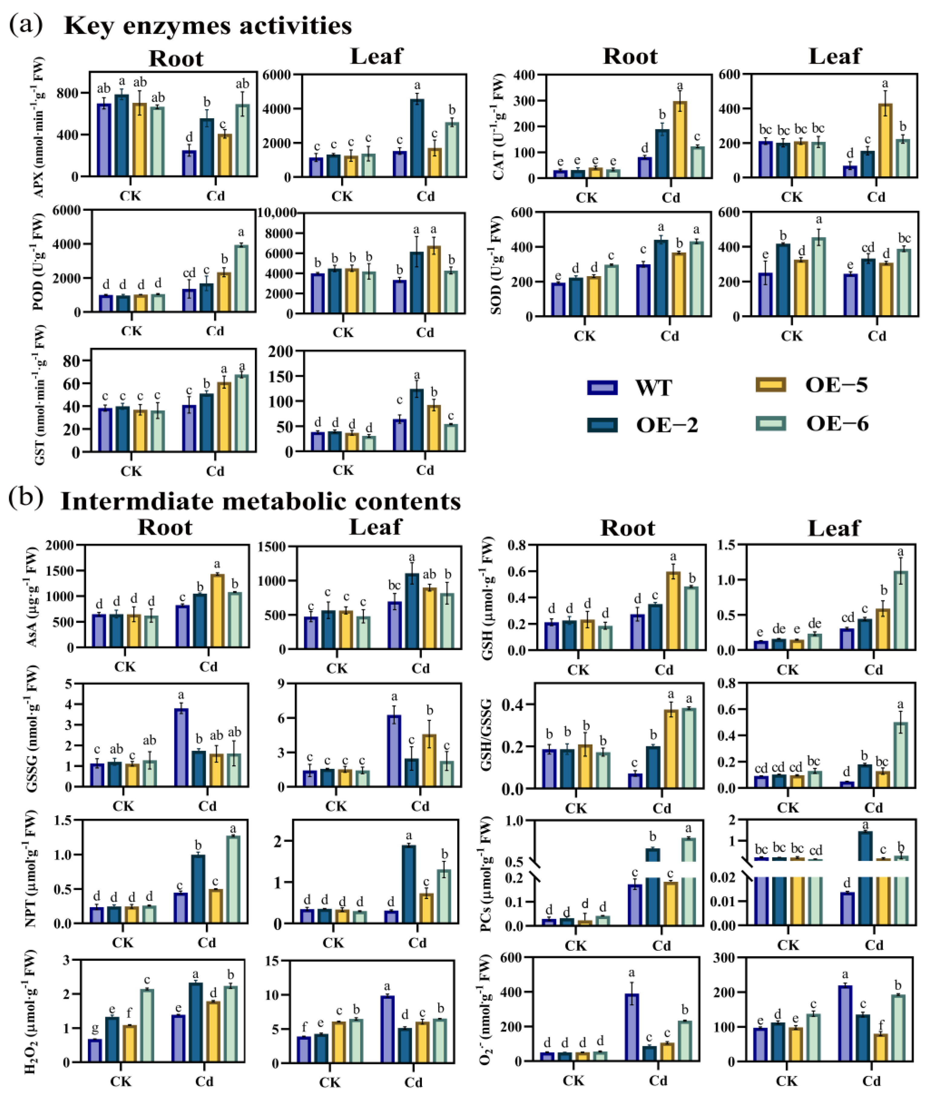 Agronomy 13 00760 g004 Agronomy 13 00760 g004