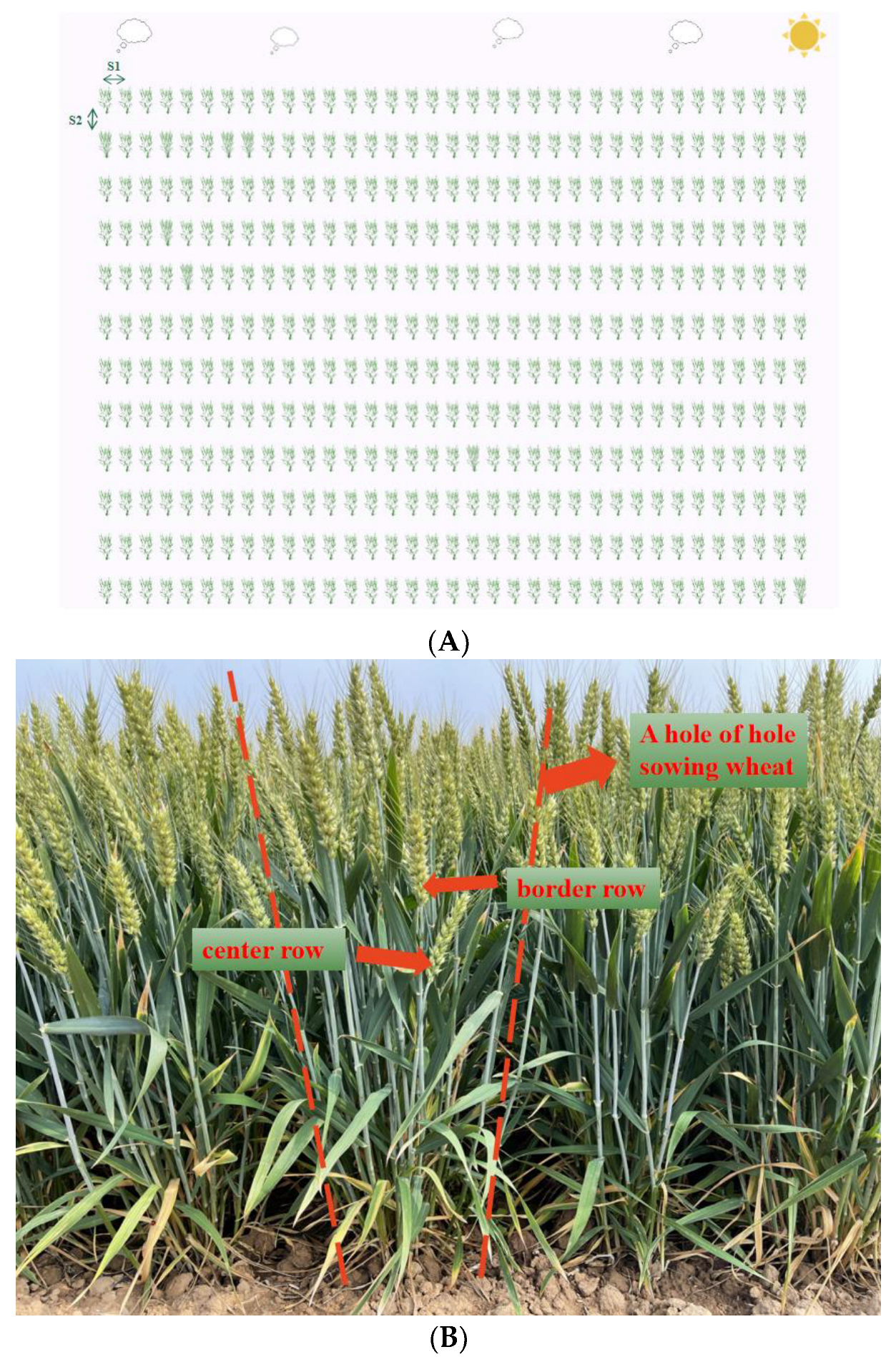 Agronomy 13 00766 g002a Agronomy 13 00766 g002a