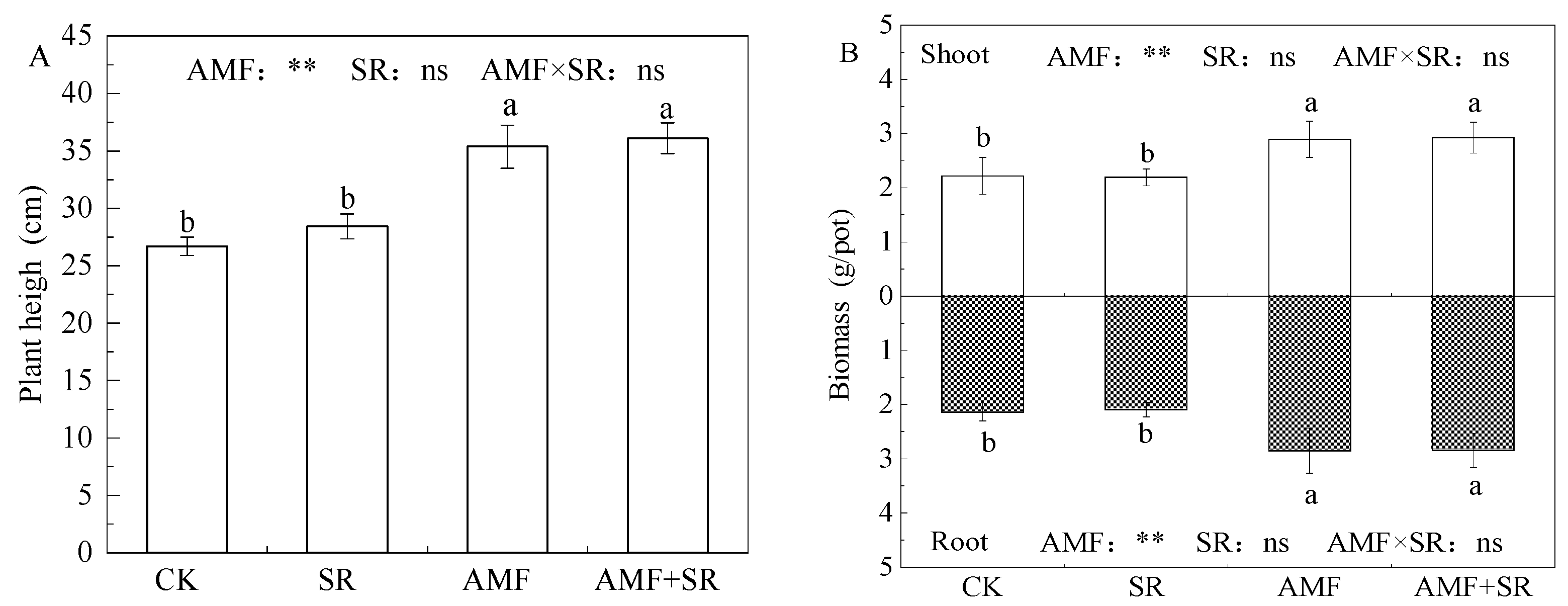 Agronomy 13 00767 g005