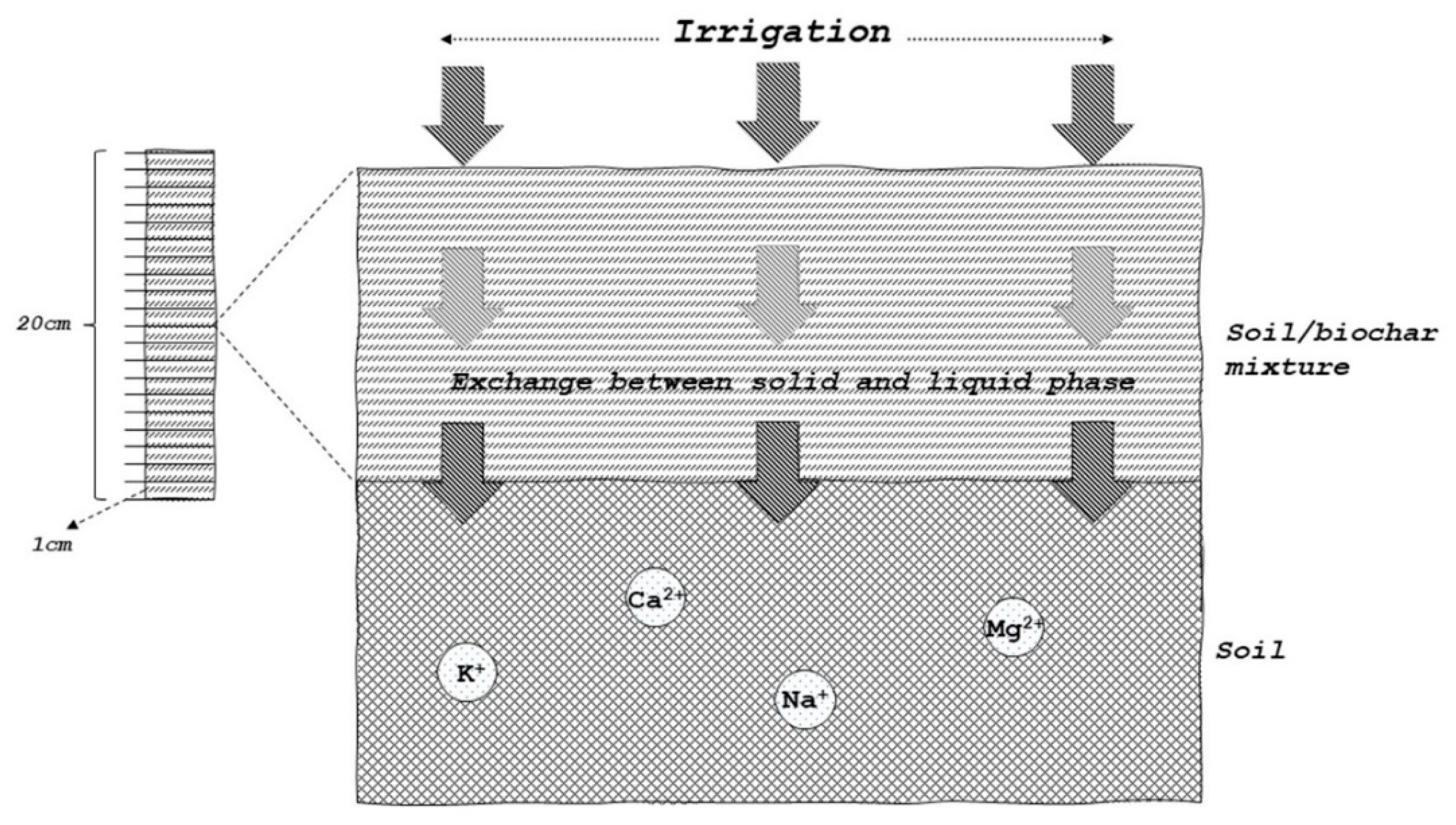 Agronomy 13 00784 g001 Agronomy 13 00784 g001