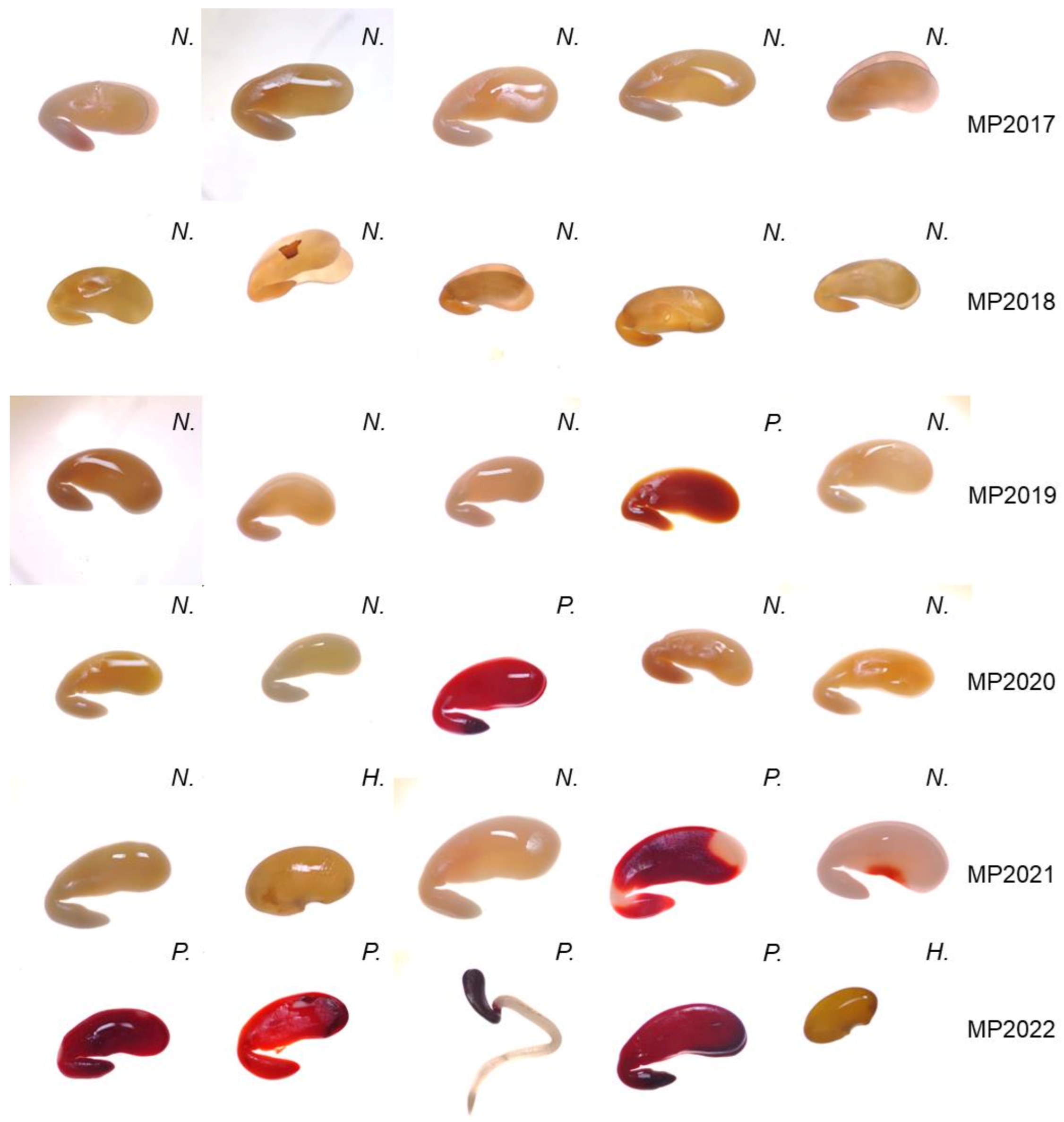 Agronomy 13 00787 g006