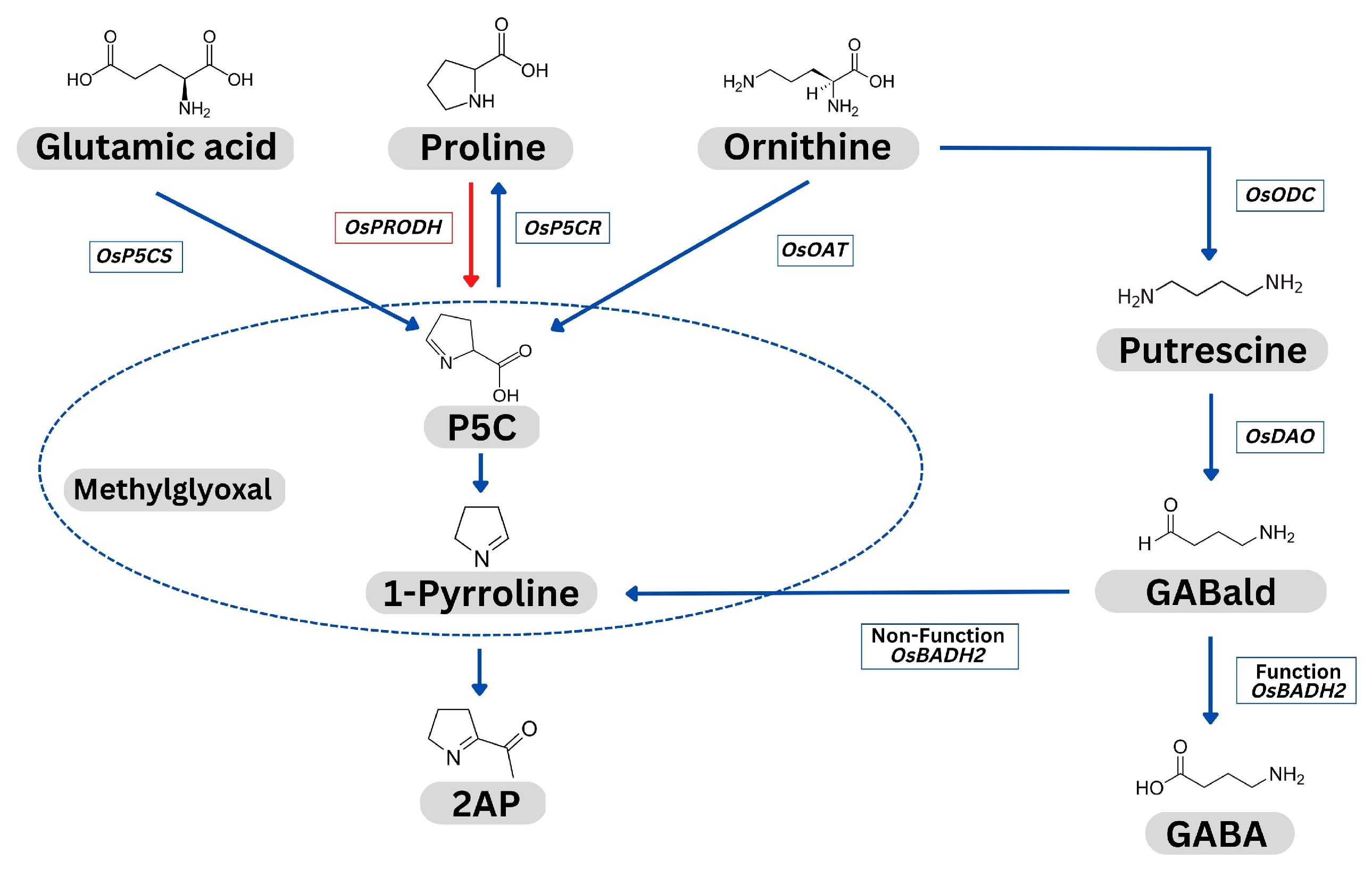 Agronomy 13 00788 g001