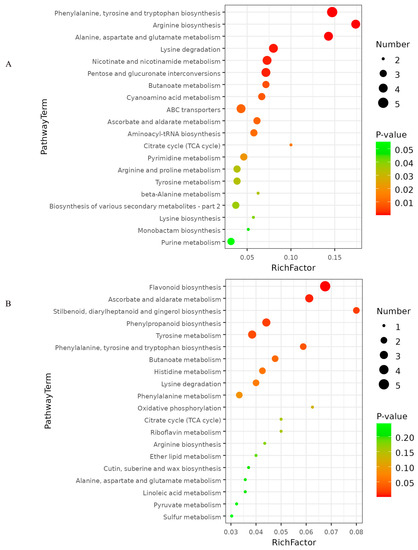 Untargeted Metabolite Profiling of Camellia tetracocca’s Response to an ...