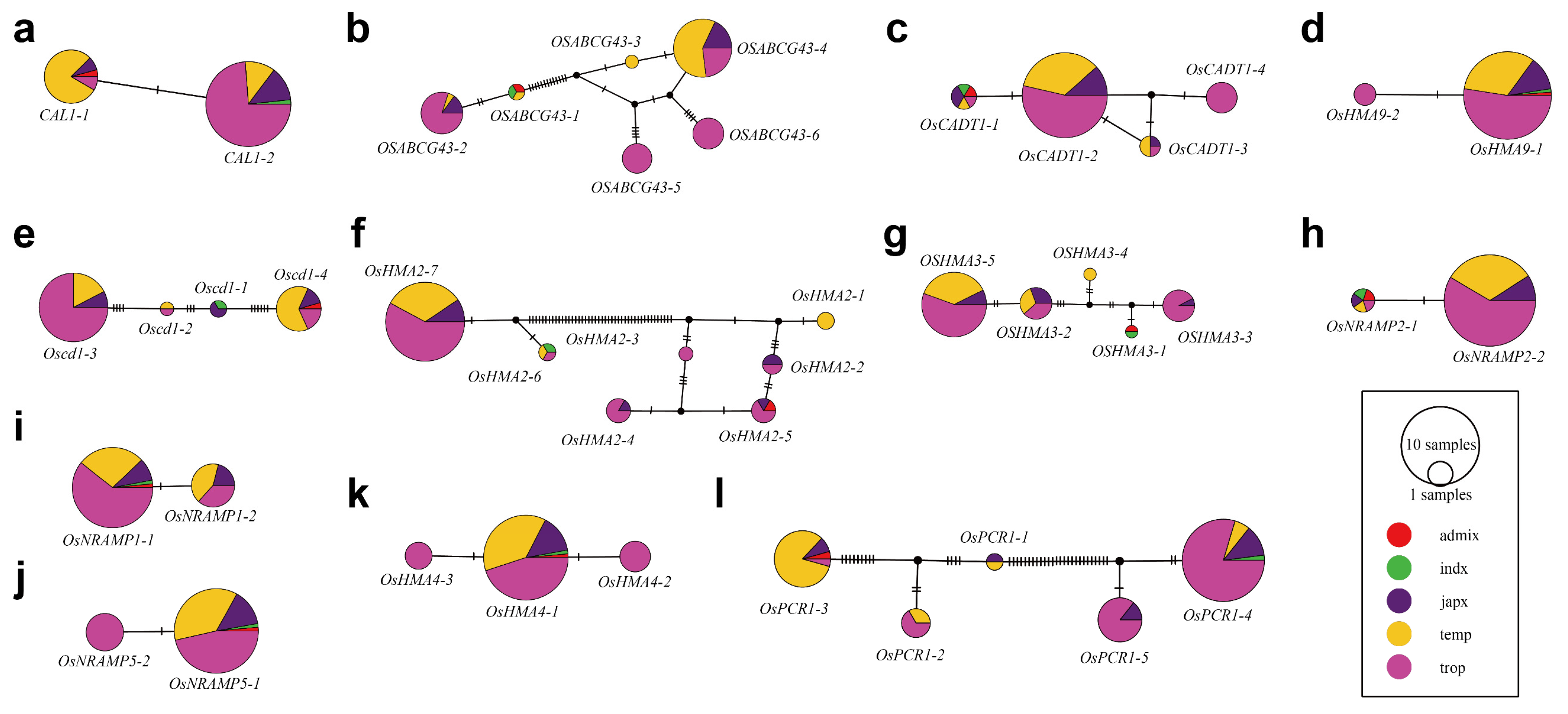 Agronomy 13 00800 g002 Agronomy 13 00800 g002